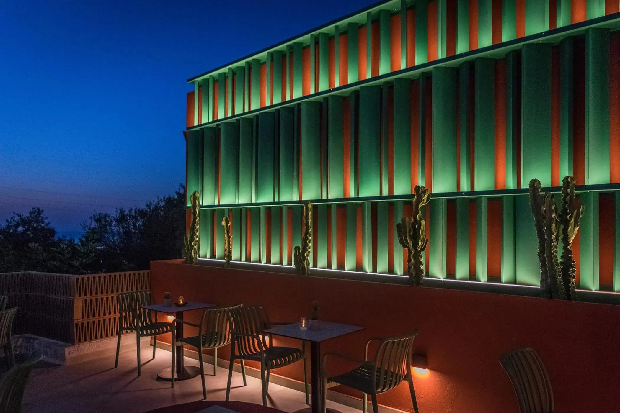 Lounge or bar in Dream Village Lounge or bar in Dream Village