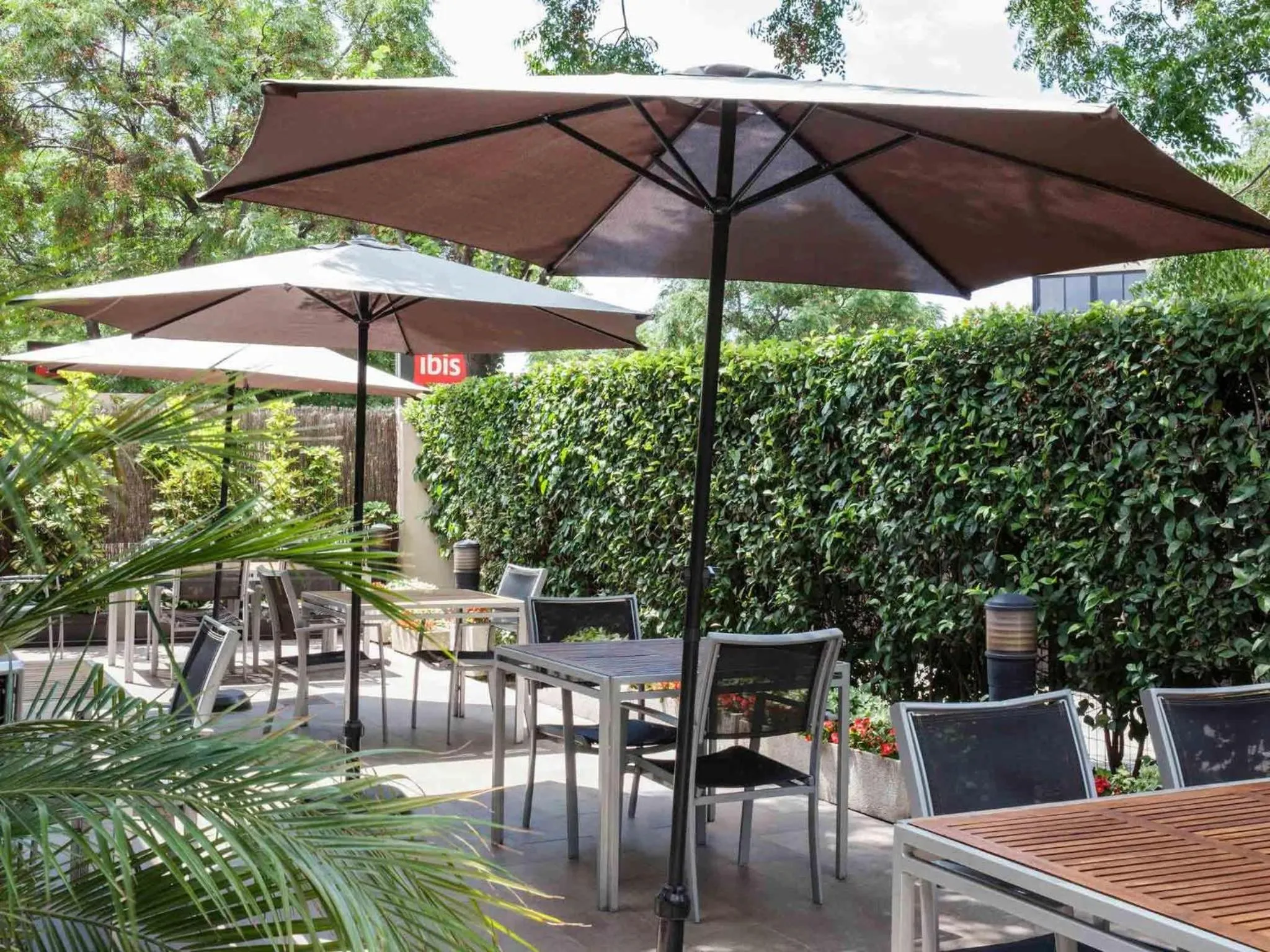 Other in Ibis Cornella