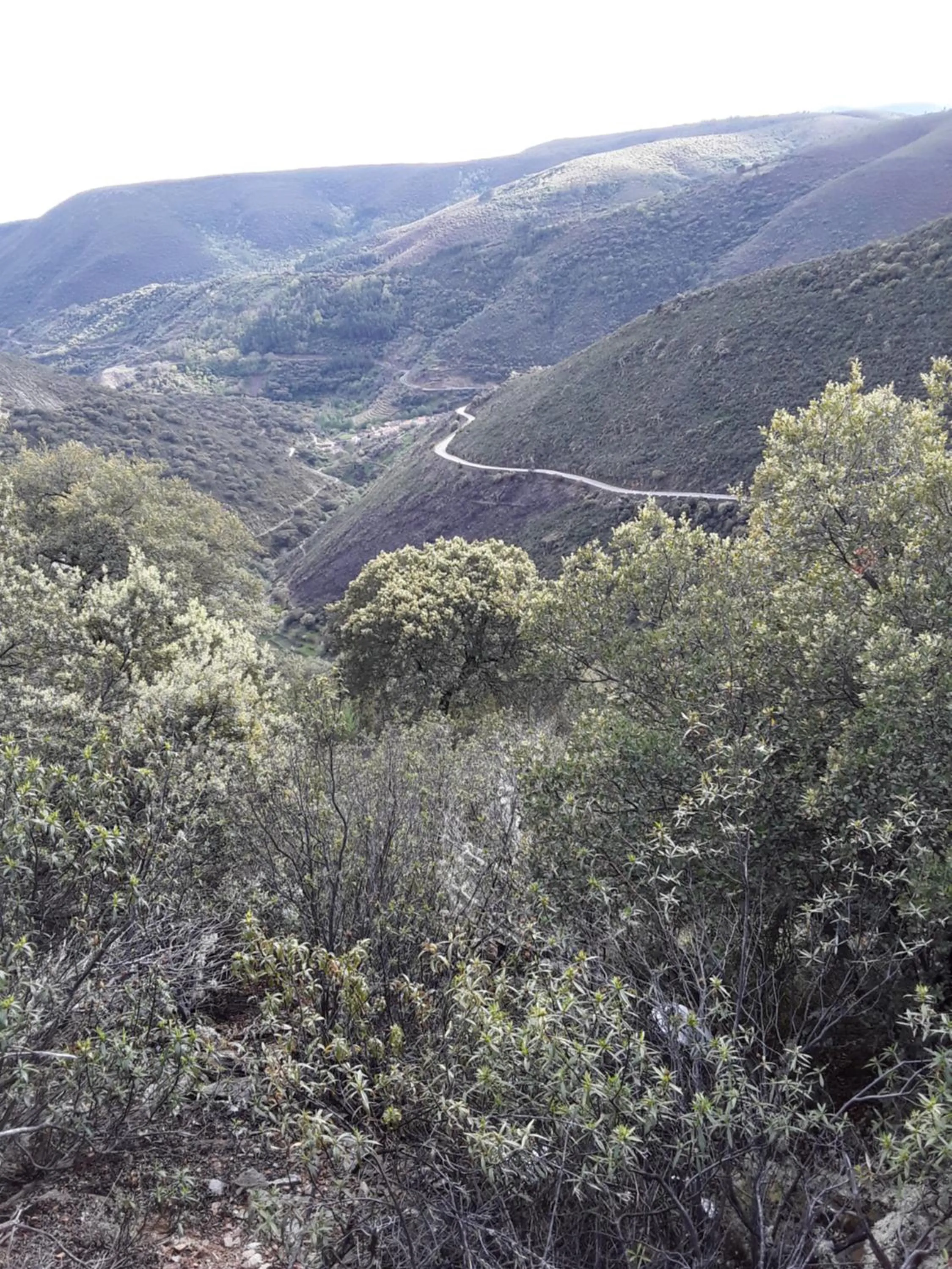 Other in Casa Rural Costanilla