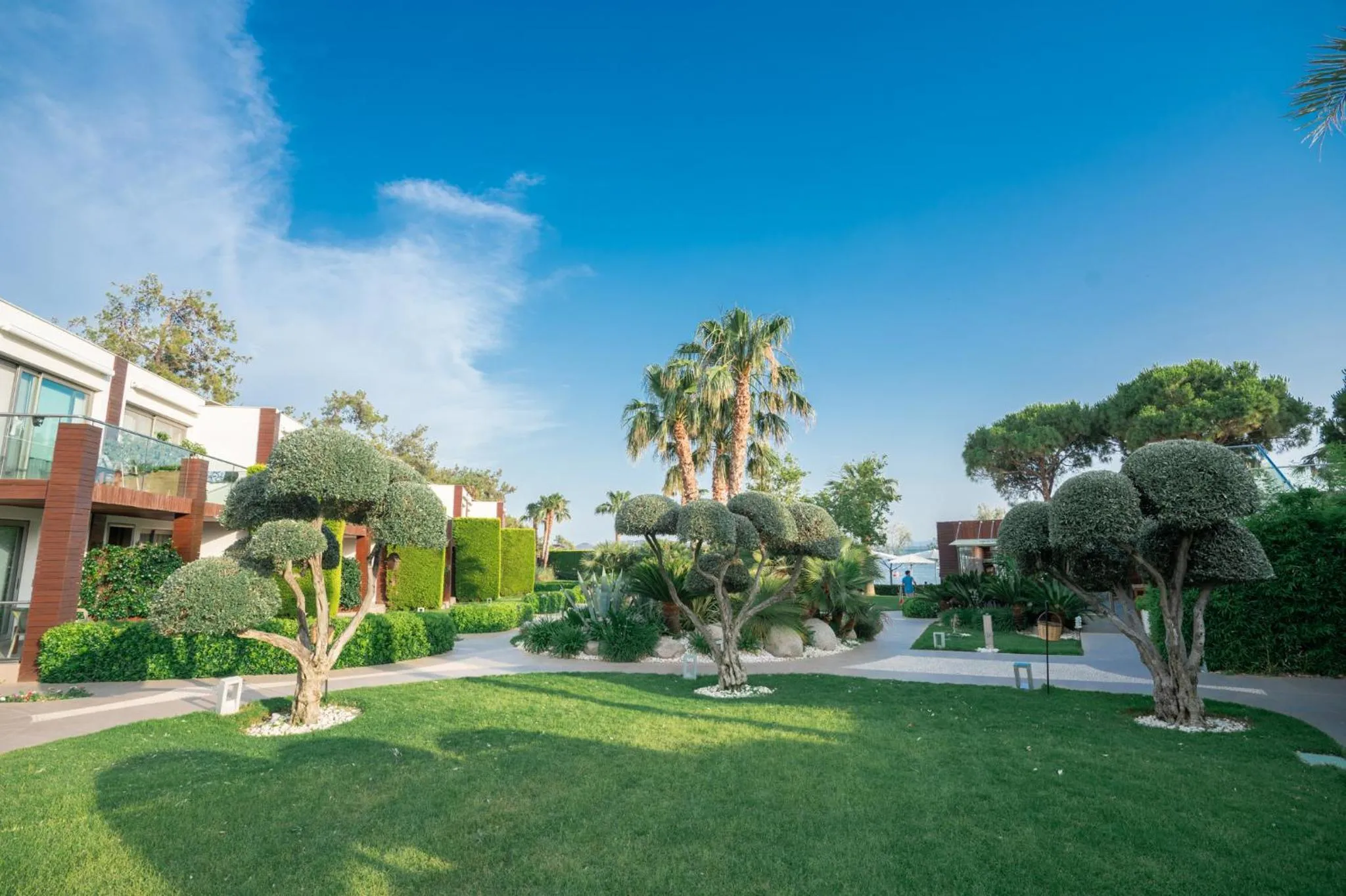 Garden in Ortunc Hotel - Cunda Island (Adult Only)