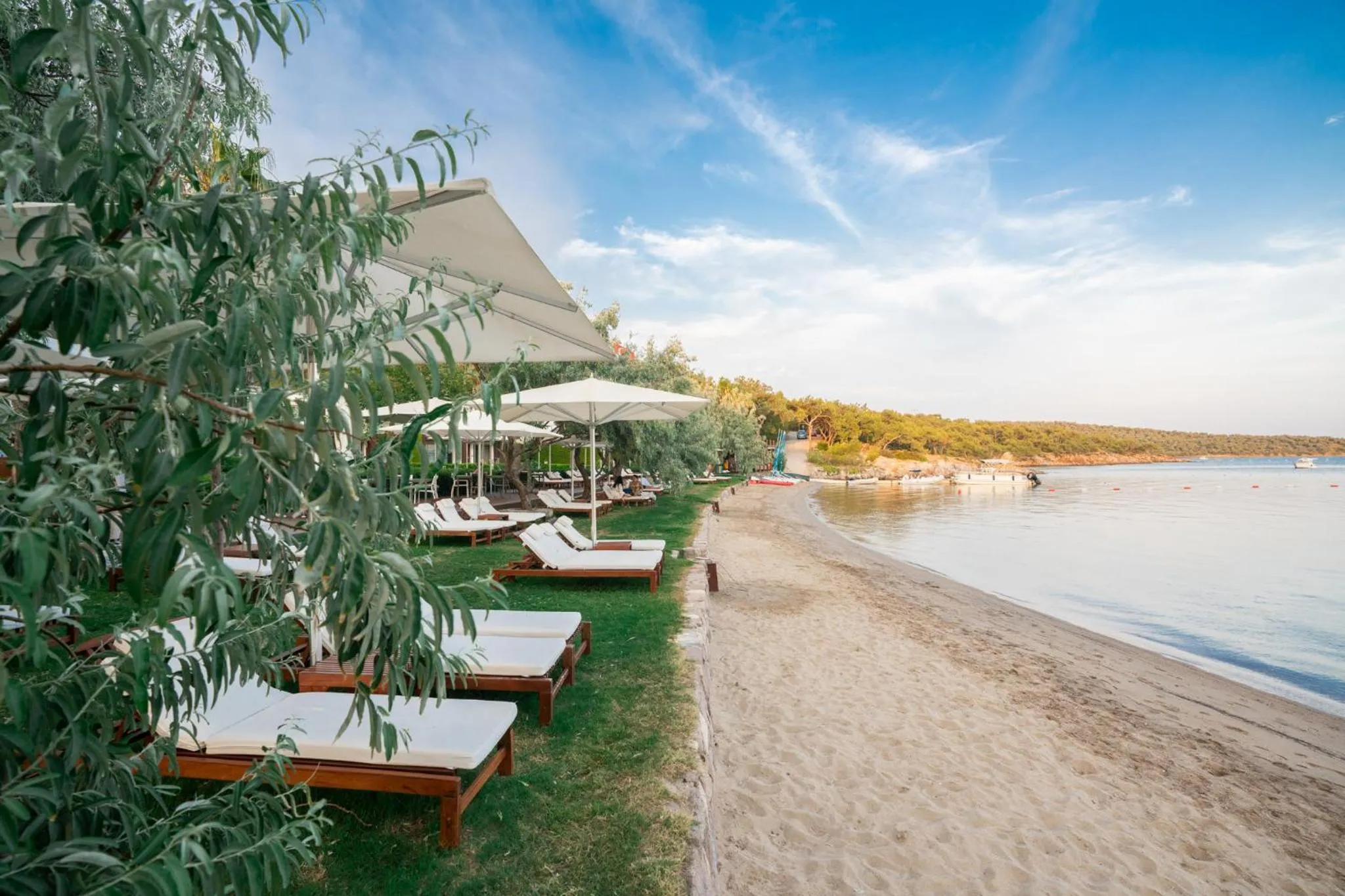 Beach in Ortunc Hotel - Cunda Island (Adult Only)