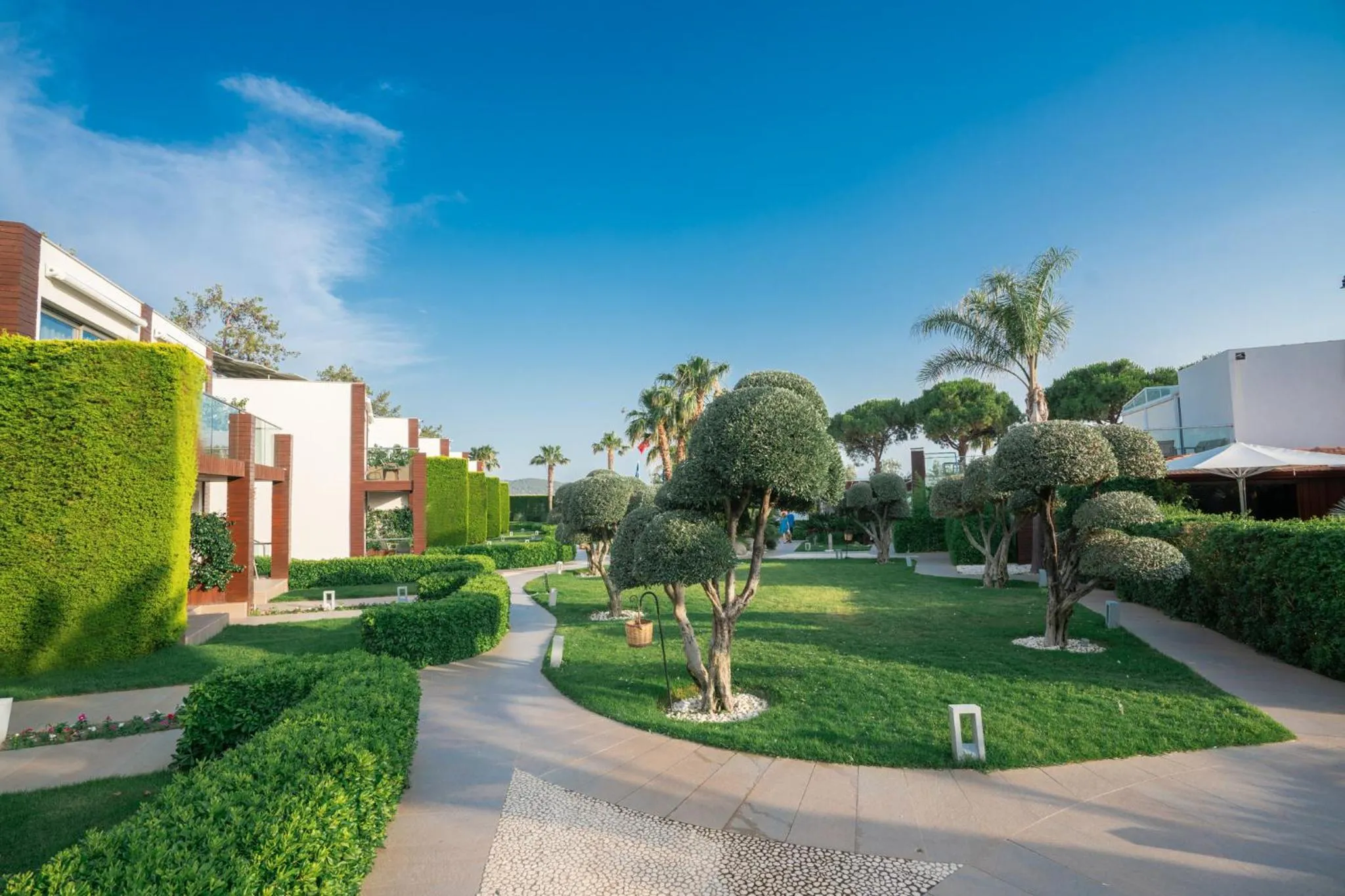 Garden in Ortunc Hotel - Cunda Island (Adult Only)