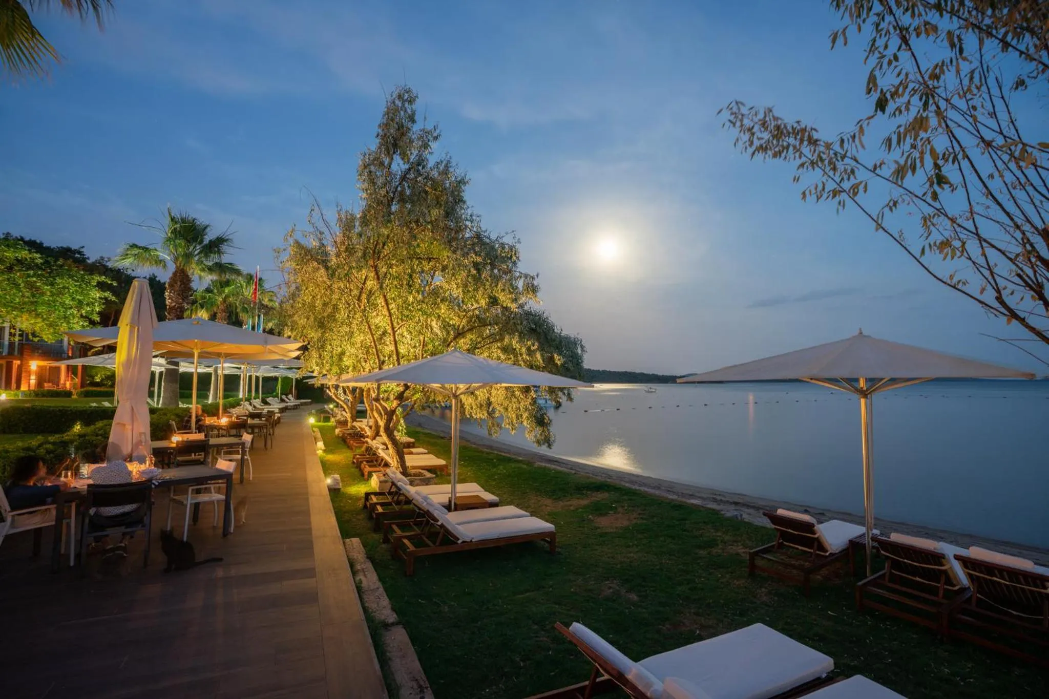 Natural landscape in Ortunc Hotel - Cunda Island (Adult Only)