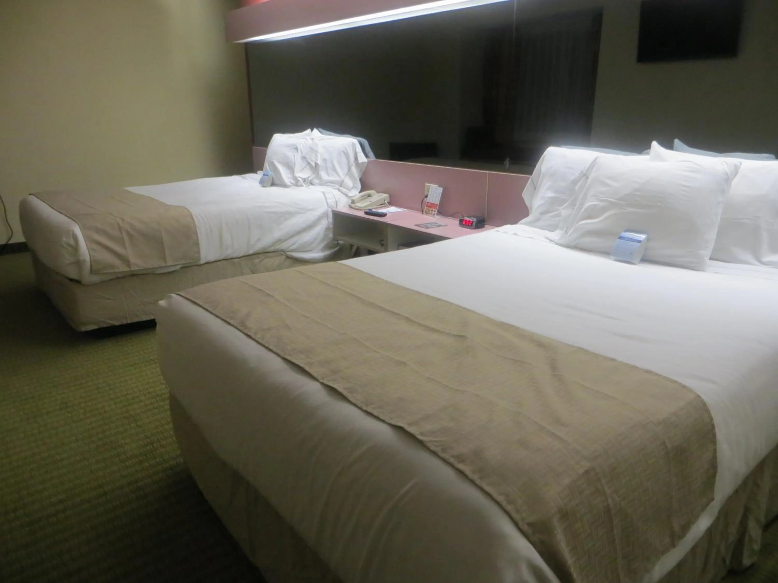 Bedroom, Bed in Microtel Inn by Wyndham Knoxville