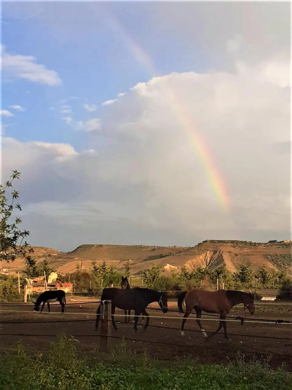 Natural landscape in Colle San Mauro