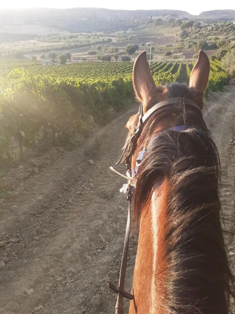 Natural landscape in Colle San Mauro