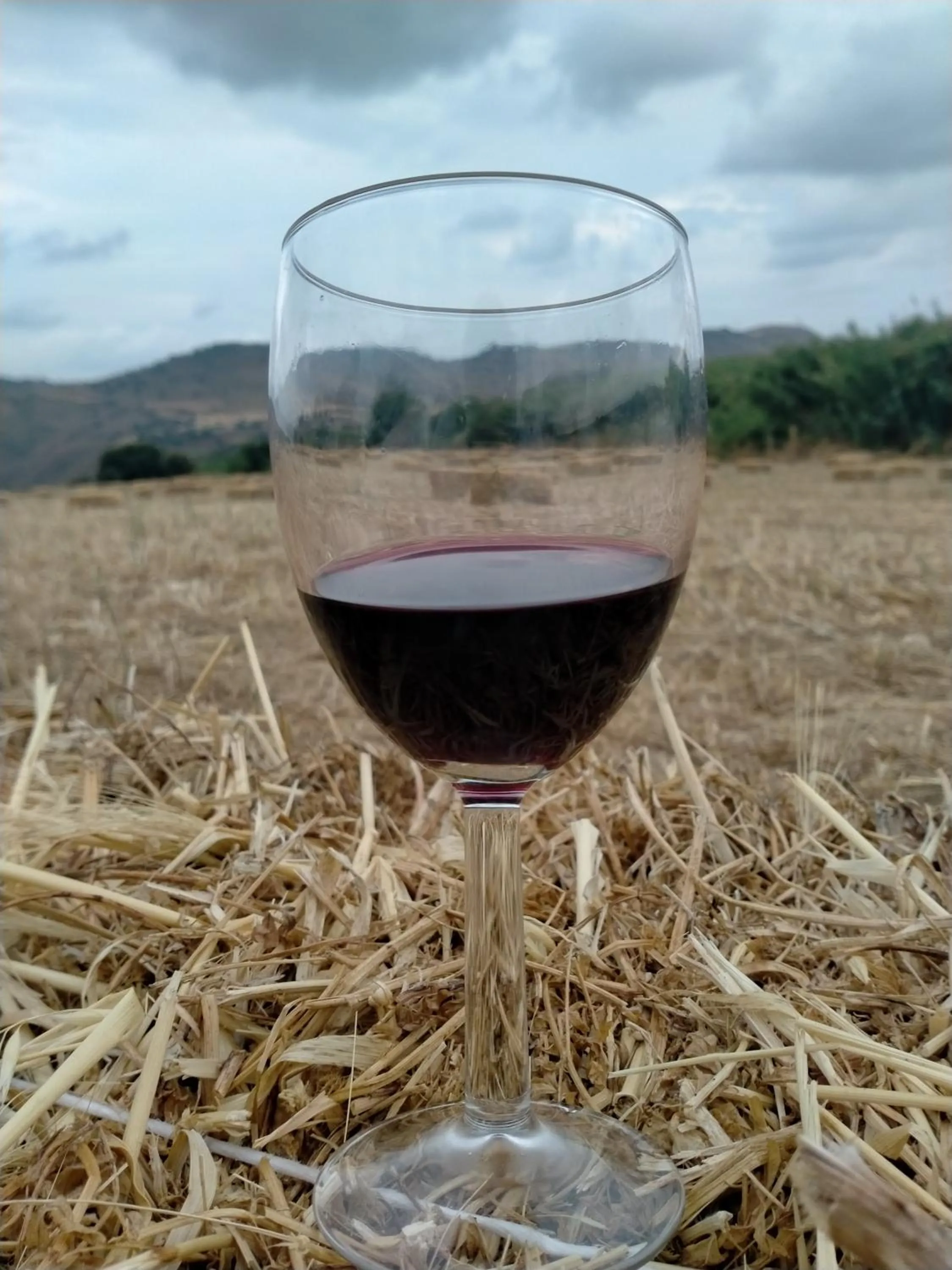 Natural landscape in Colle San Mauro