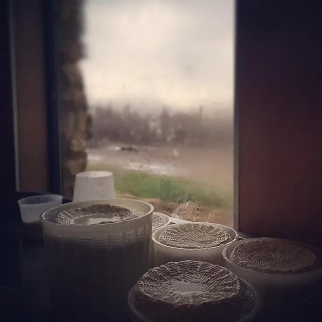 Activities in Colle San Mauro