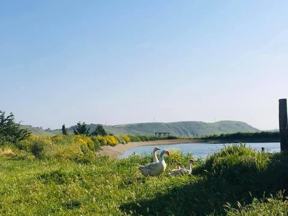 Natural landscape in Colle San Mauro