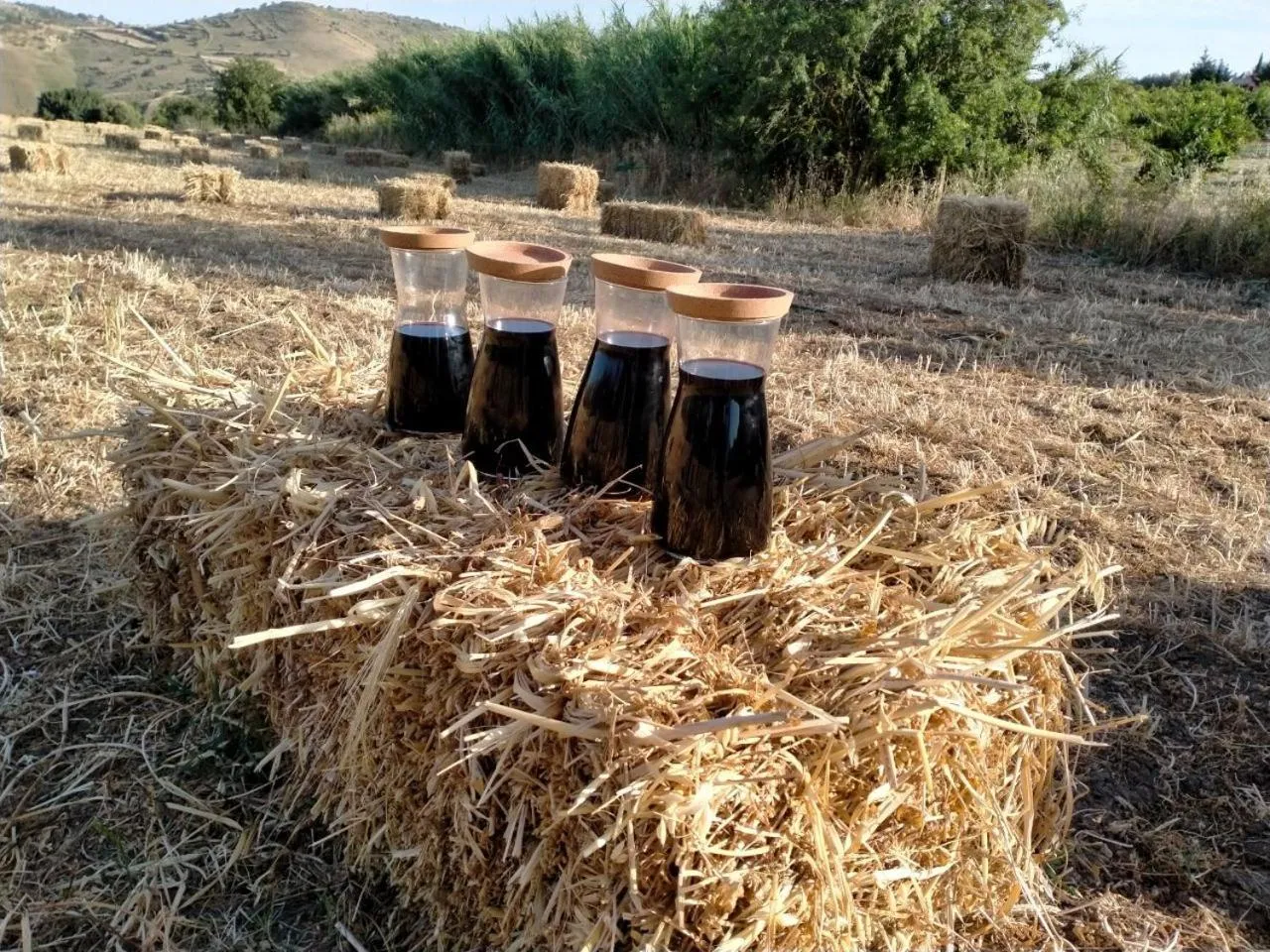 Natural landscape in Colle San Mauro