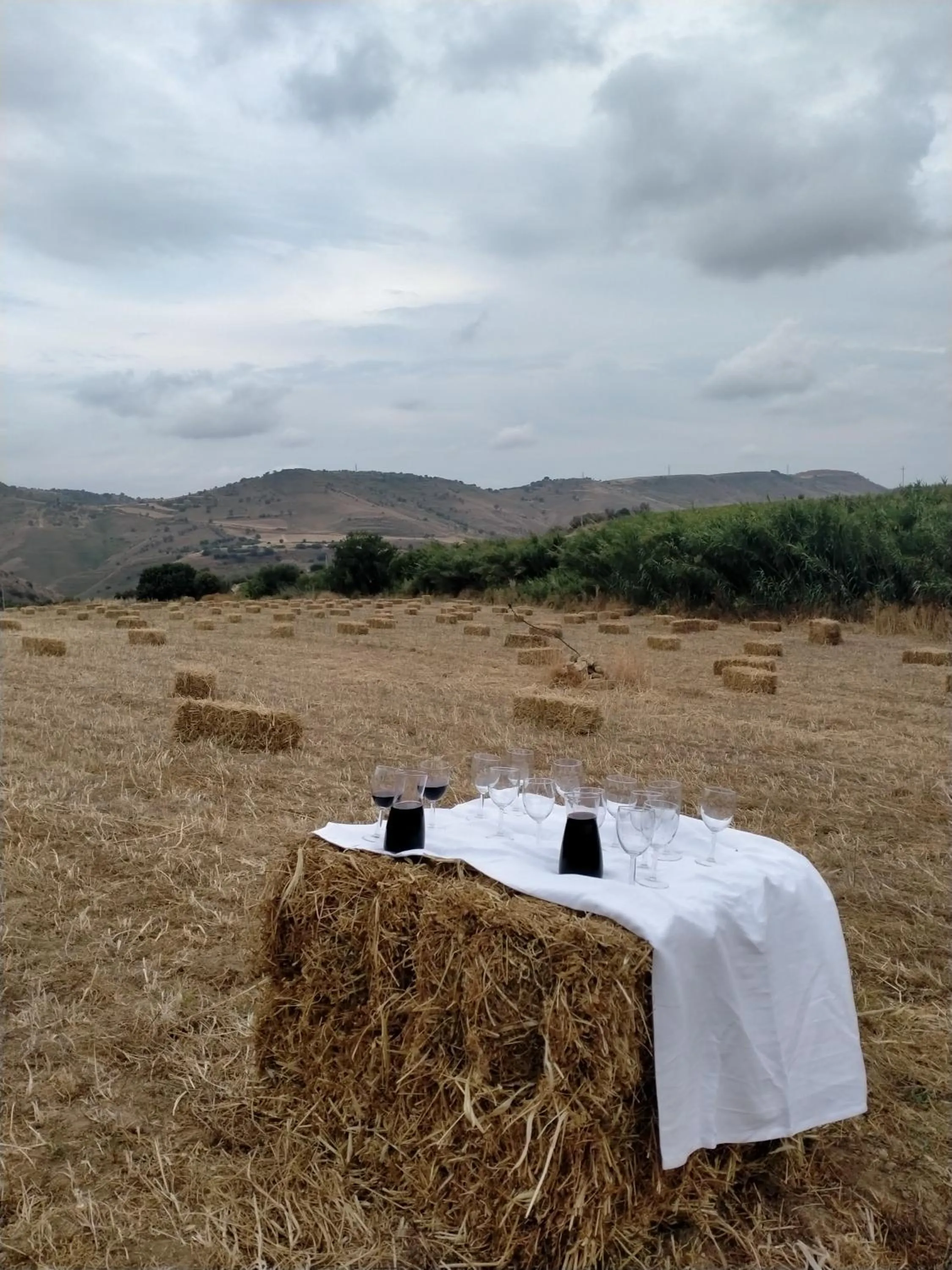 Natural landscape in Colle San Mauro