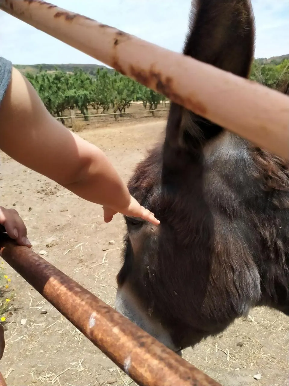 Activities in Colle San Mauro