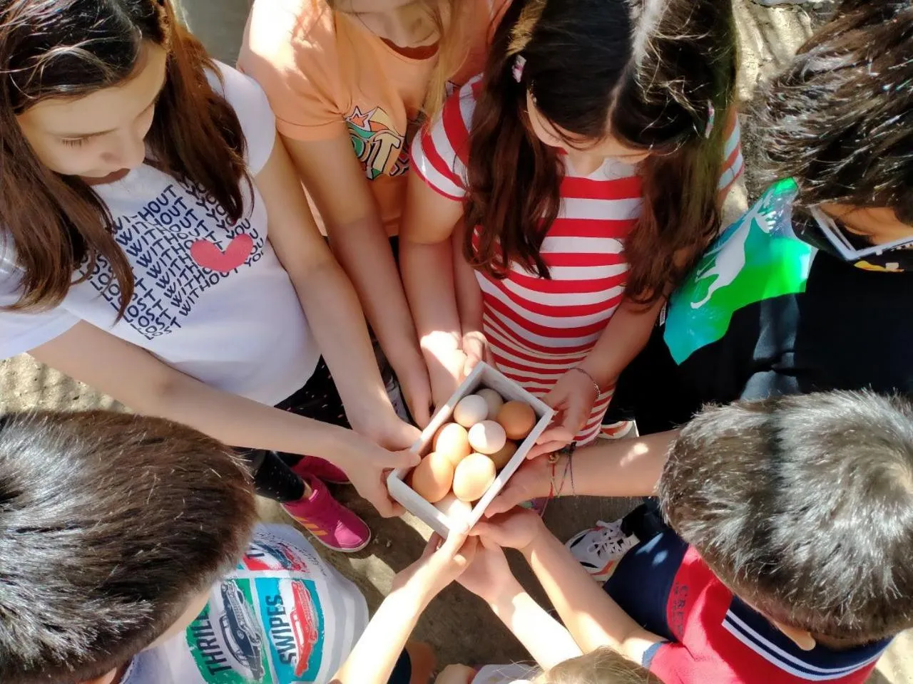 Activities in Colle San Mauro