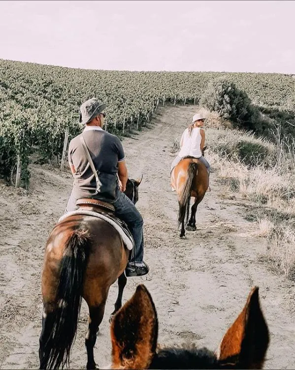 Horse-riding in Colle San Mauro