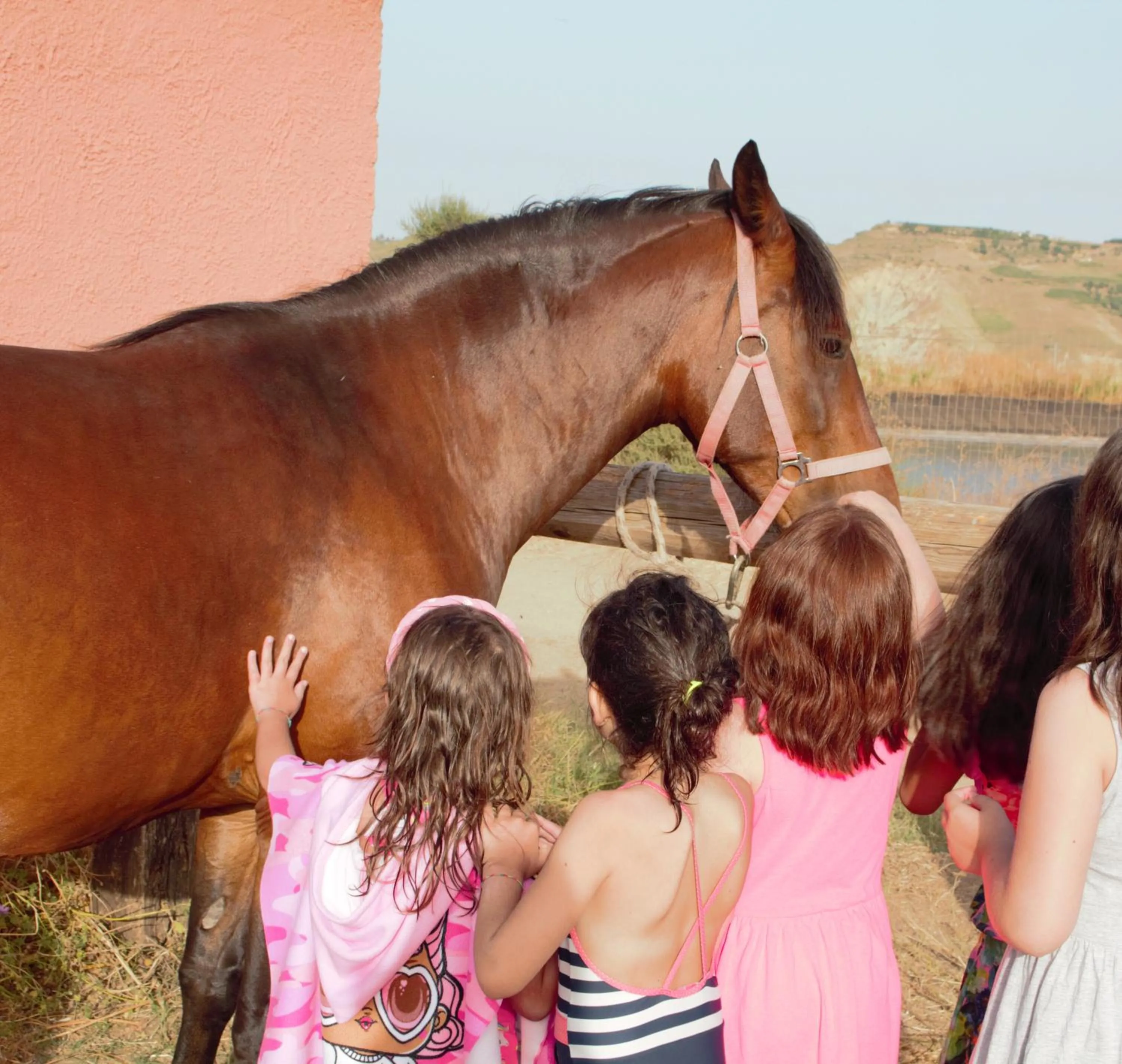 Horse-riding in Colle San Mauro