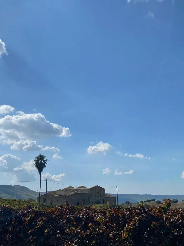 Day in Colle San Mauro