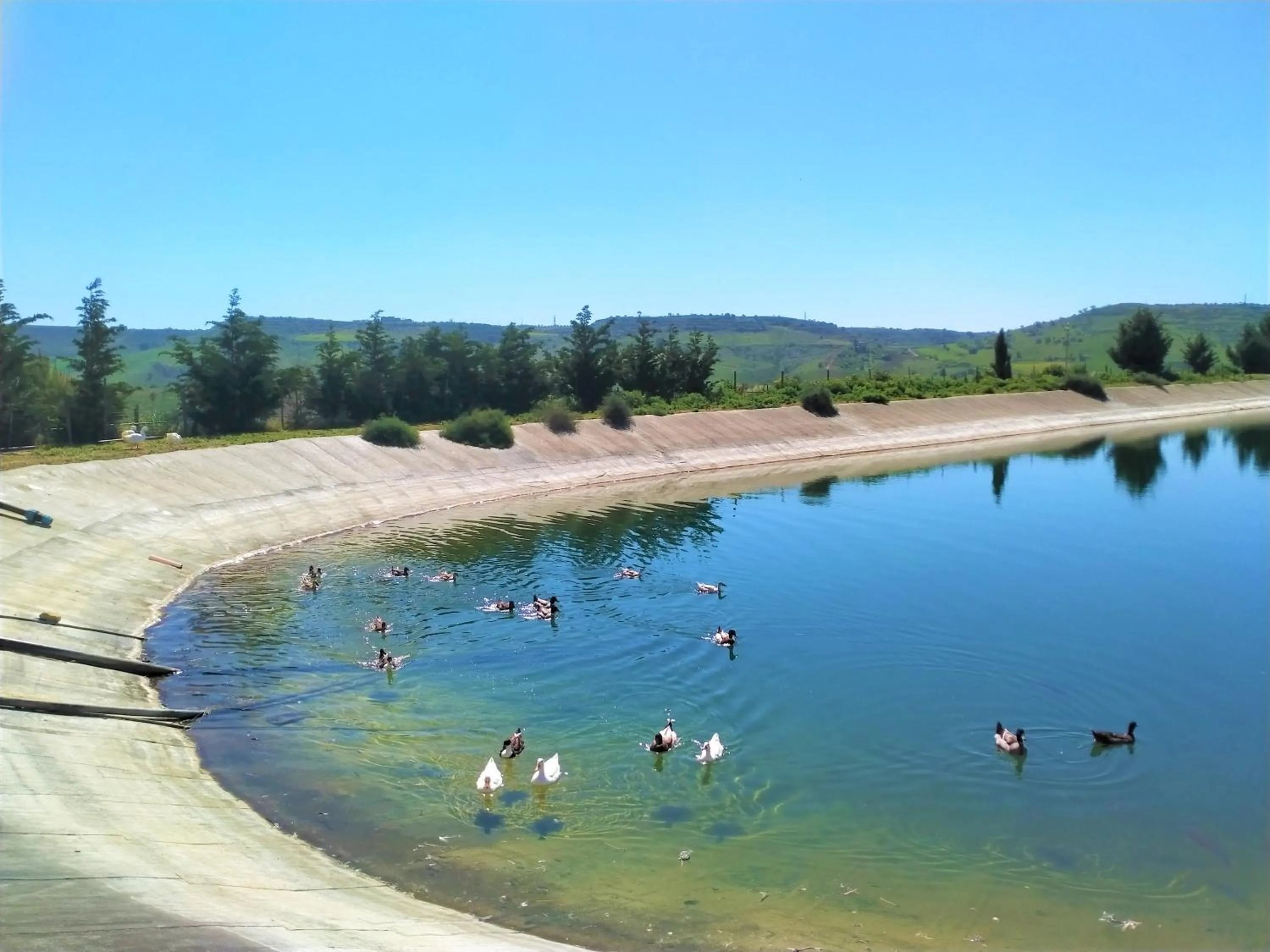 Activities in Colle San Mauro