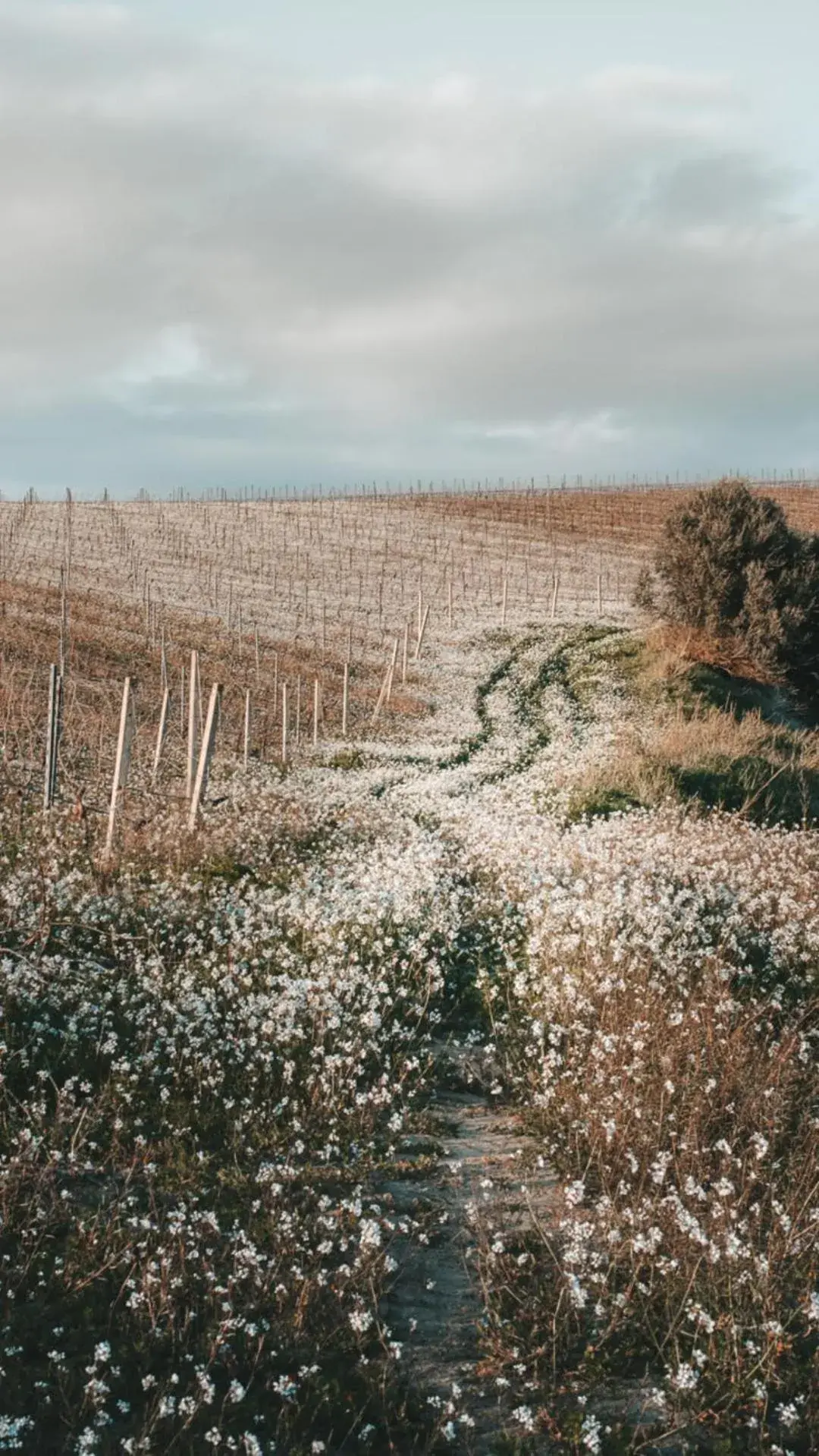 Property building in Colle San Mauro Property building in Colle San Mauro