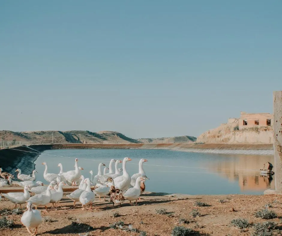 Natural landscape in Colle San Mauro