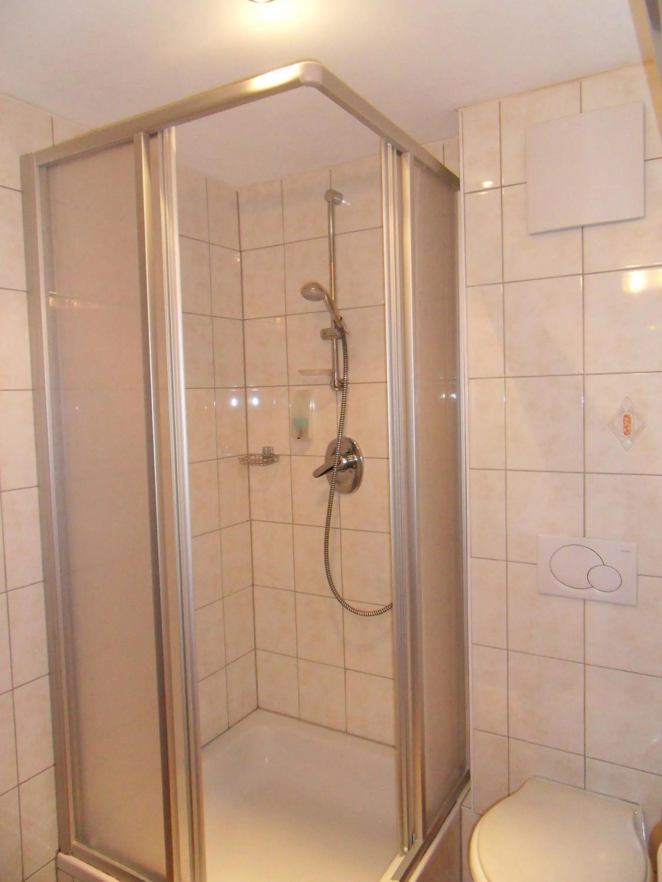 Shower in Hotel Nassereinerhof