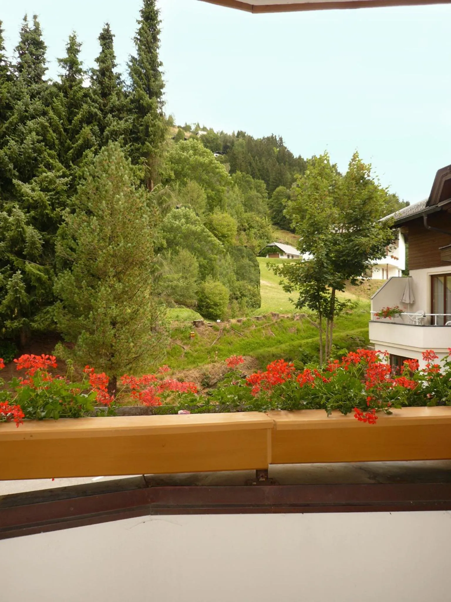 View (from property/room) in Wohlfühl & Genusshotel Felsenhof