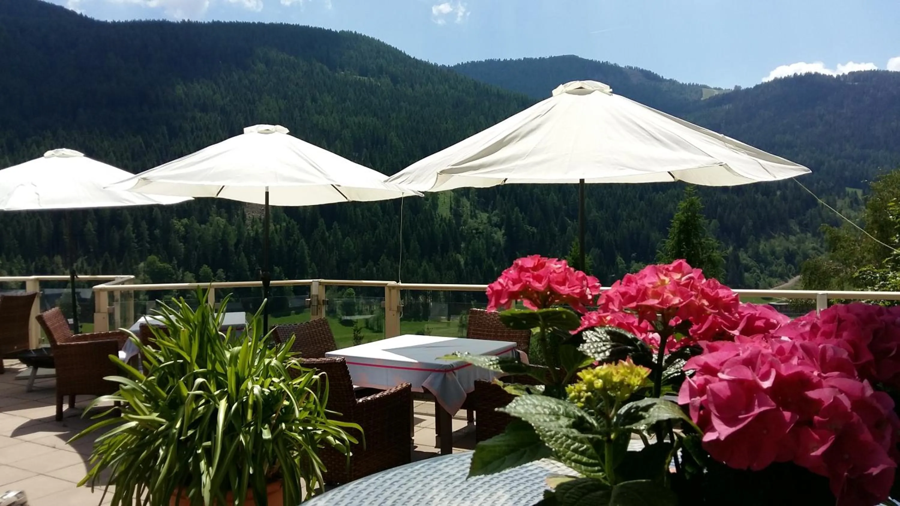 Balcony/Terrace in Wohlfühl & Genusshotel Felsenhof