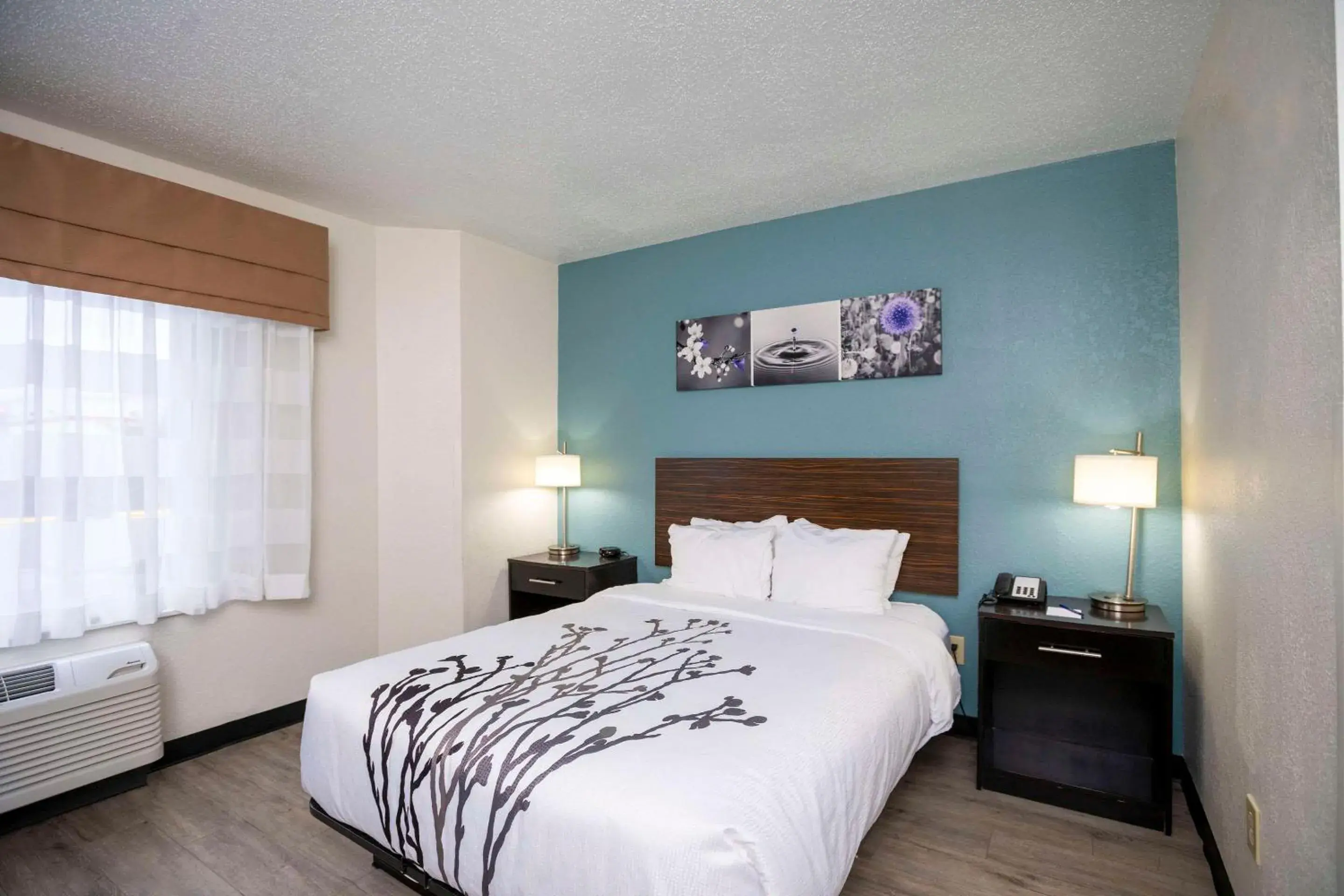 Bedroom, Bed in Sleep Inn Myrtle Beach near Outlets Bedroom, Bed in Sleep Inn Myrtle Beach near Outlets