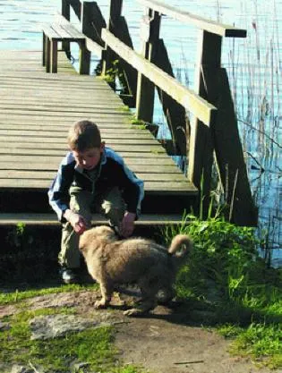 Pets in Hotel Farchauer Mühle