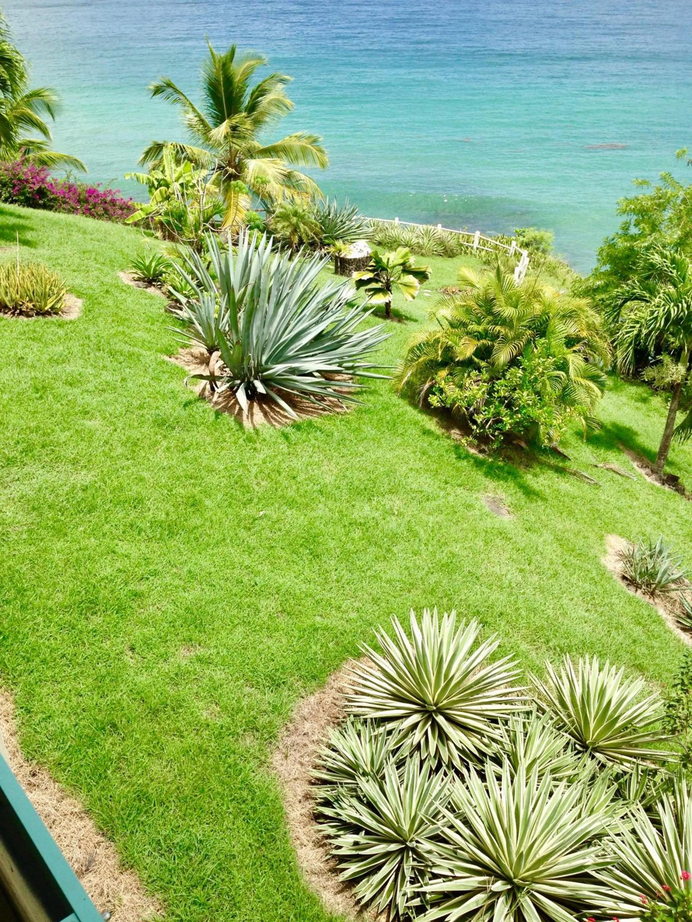 Garden view in Résidence La Canonnière