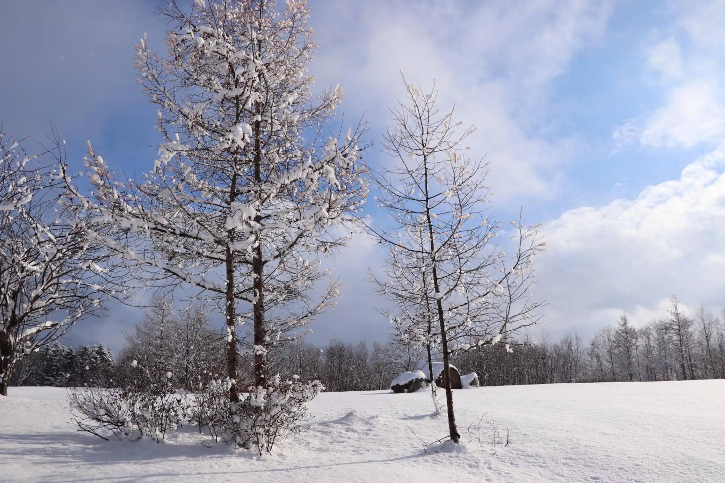 Sahoro Resort Hotel Sahoro Resort Hotel