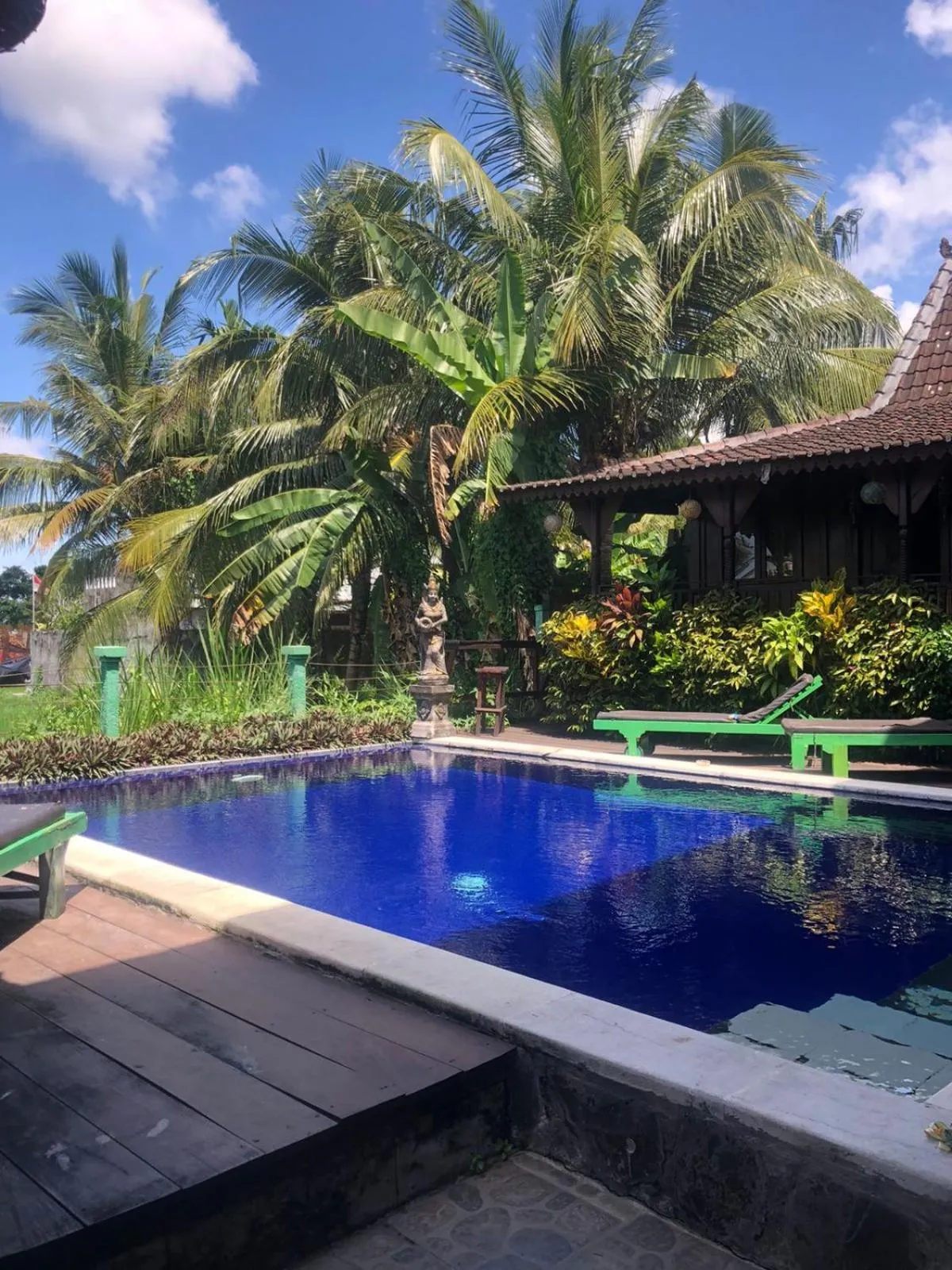 Green Paddy Hostel & Villa