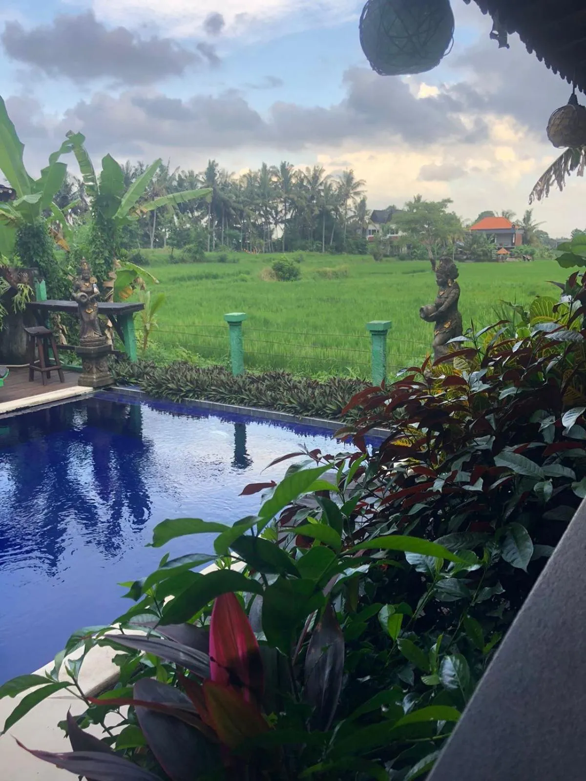 Green Paddy Hostel & Villa