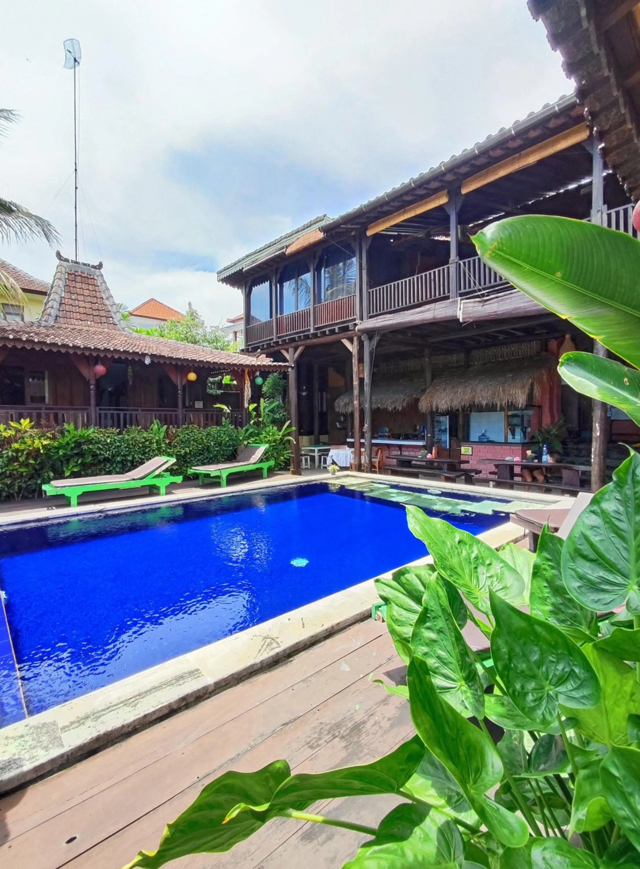Green Paddy Hostel & Villa