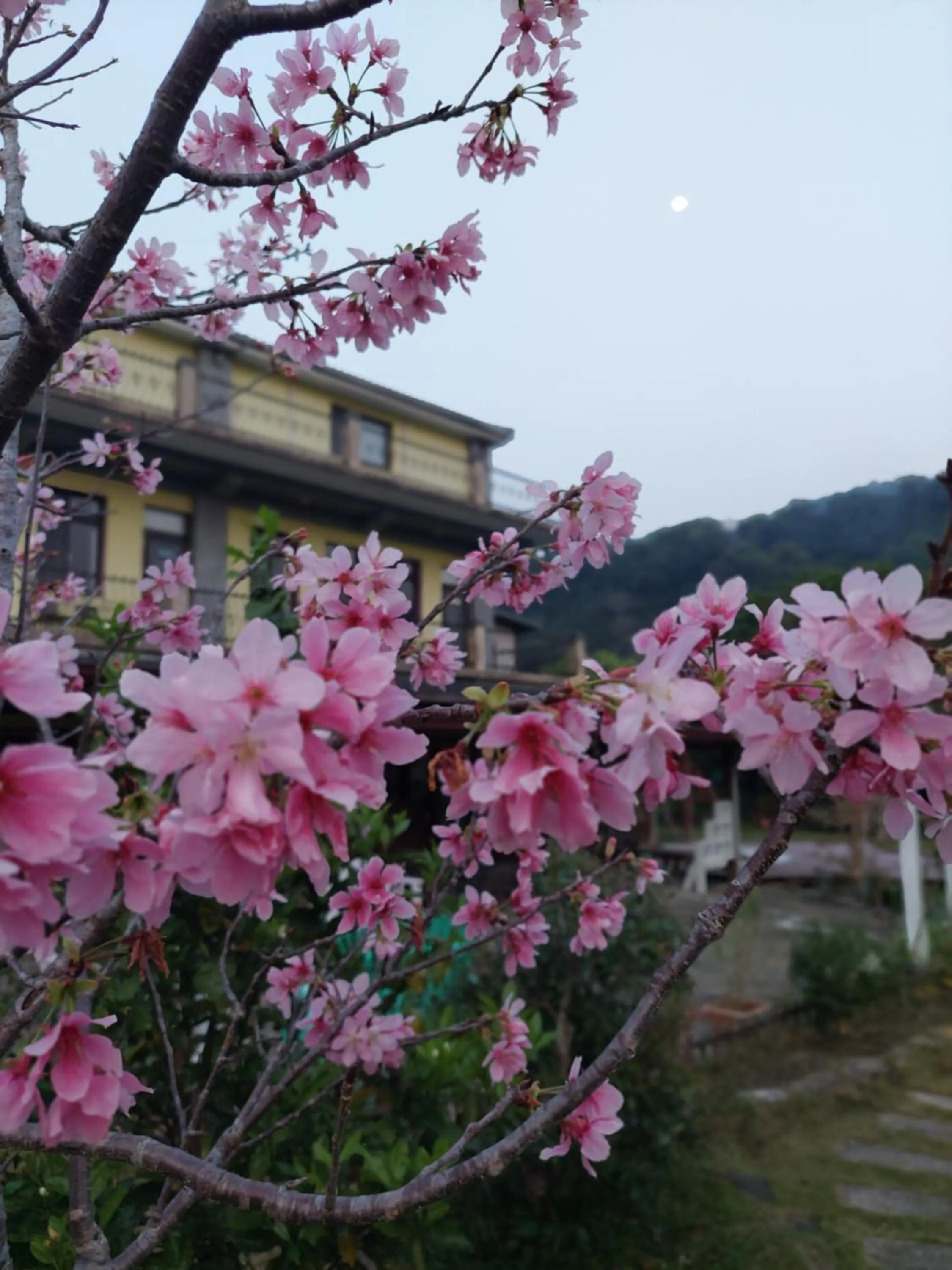 Fu Chuan Garden