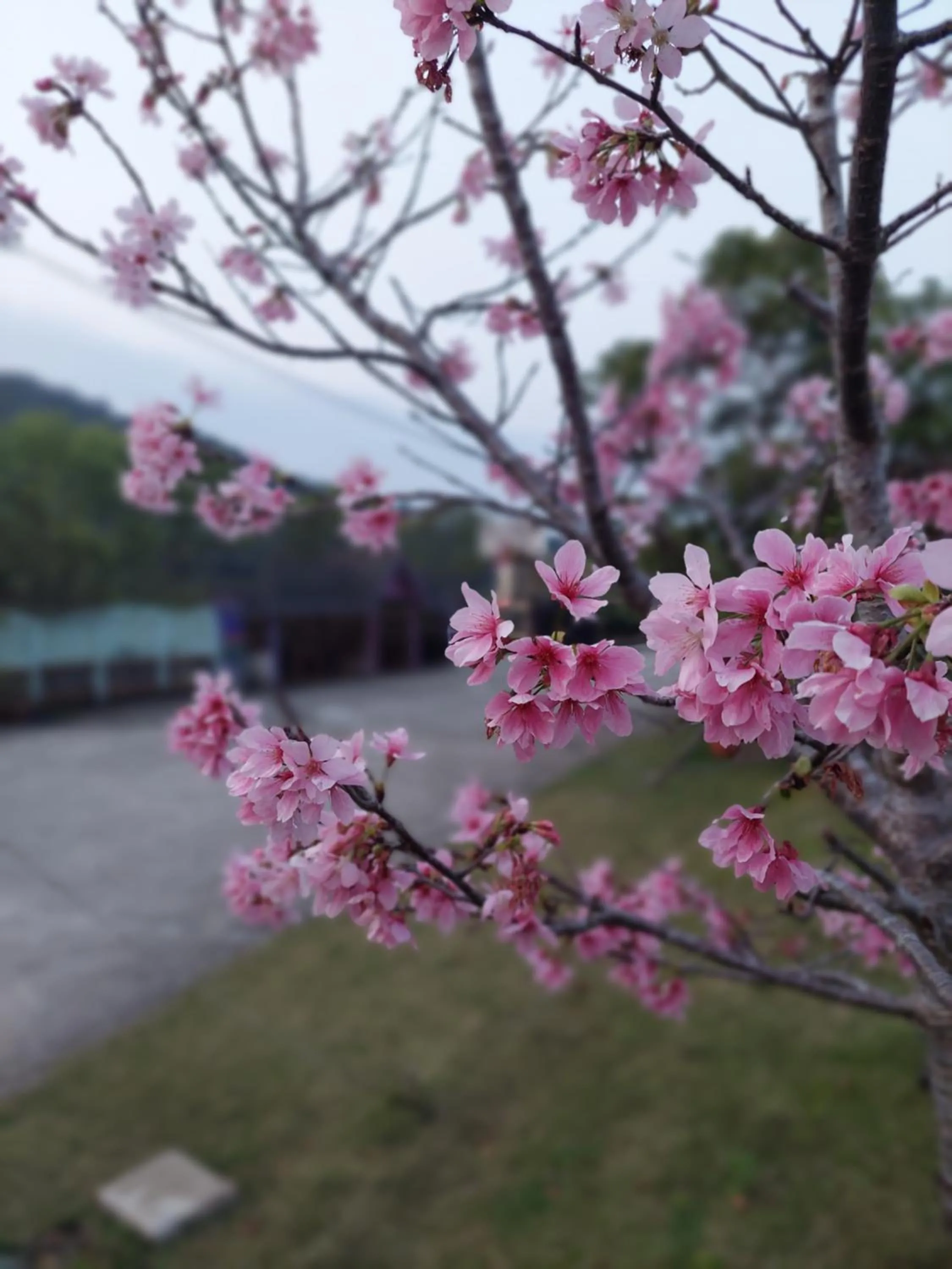 Fu Chuan Garden