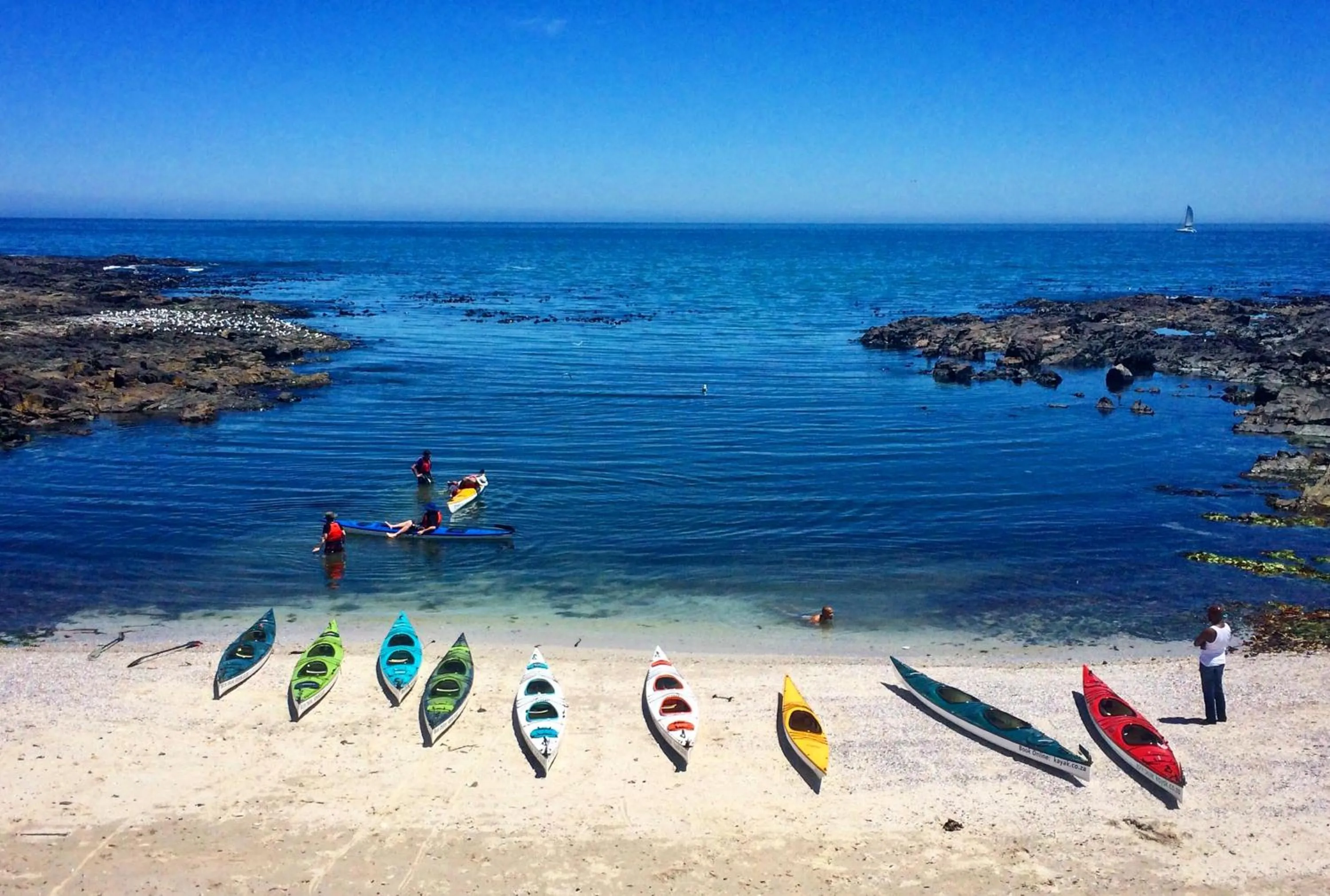 Activities in 205 New Cumberland