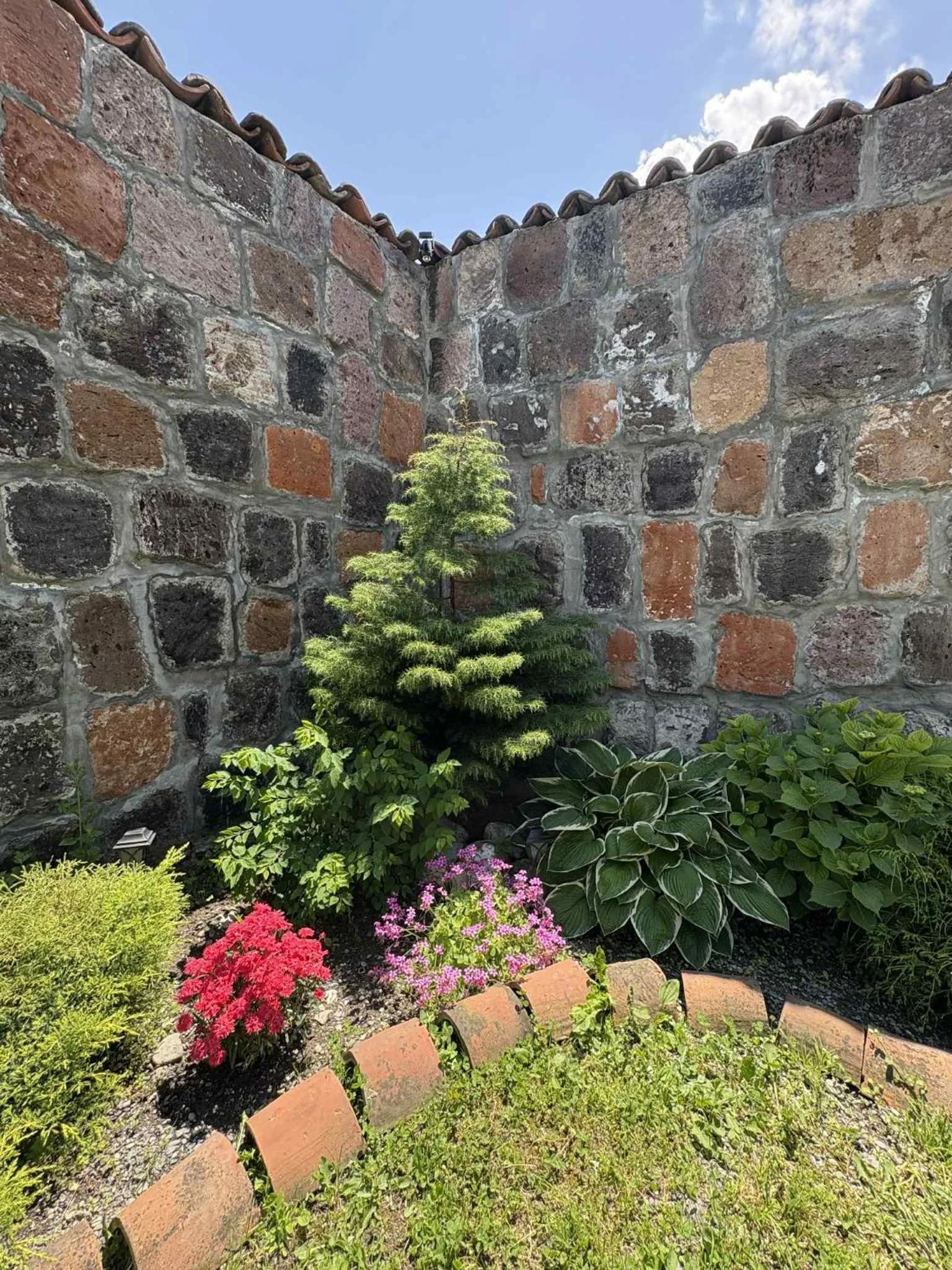 Garden in Hotel Classic