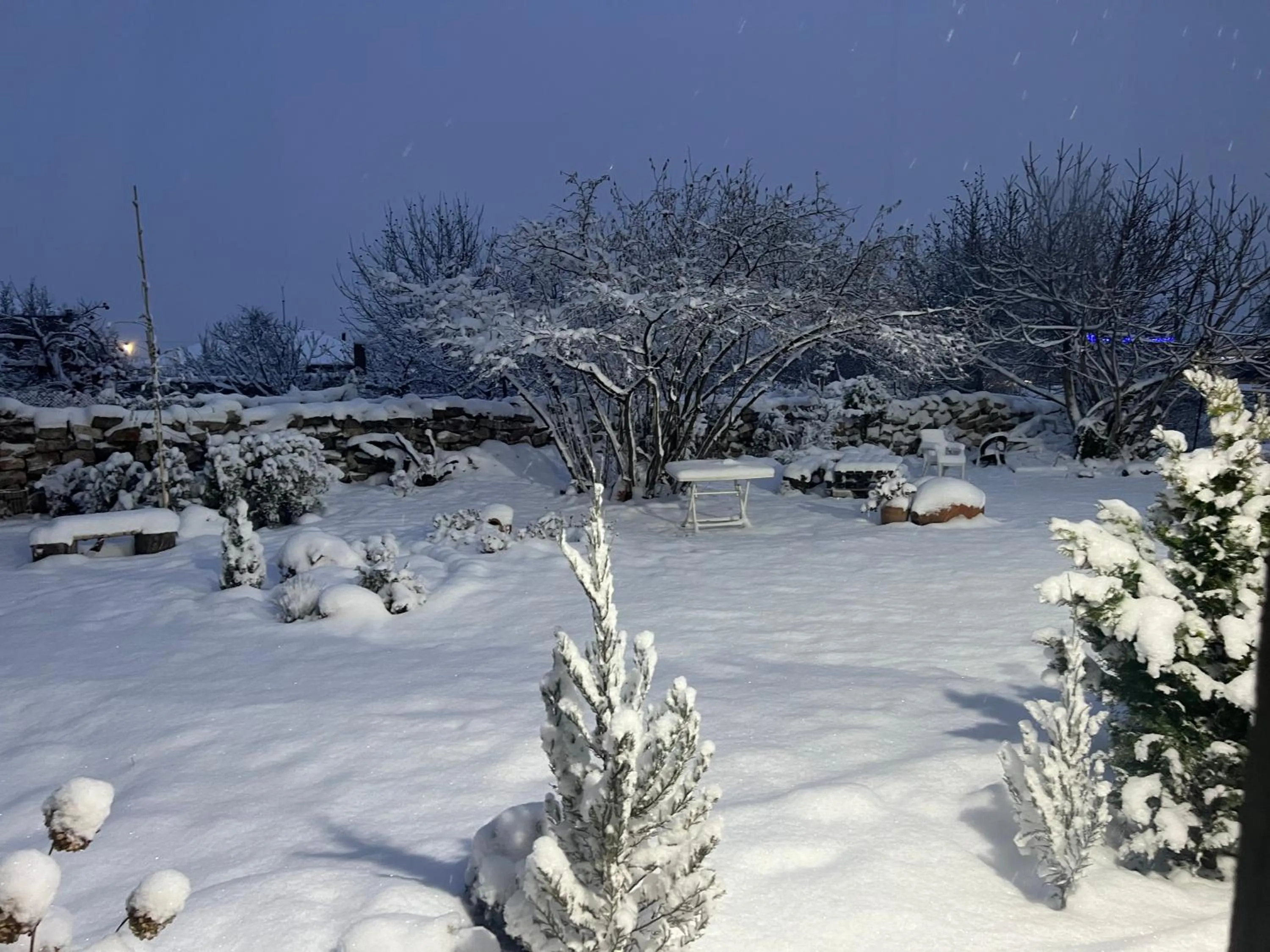 Garden in Hotel Classic