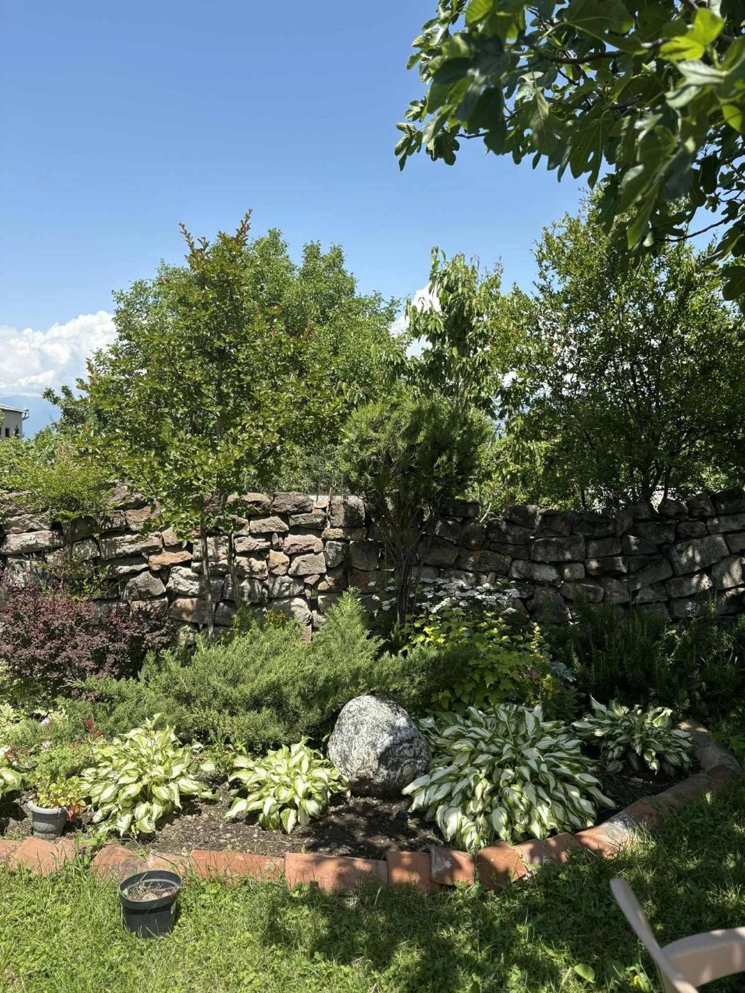 Garden view in Hotel Classic