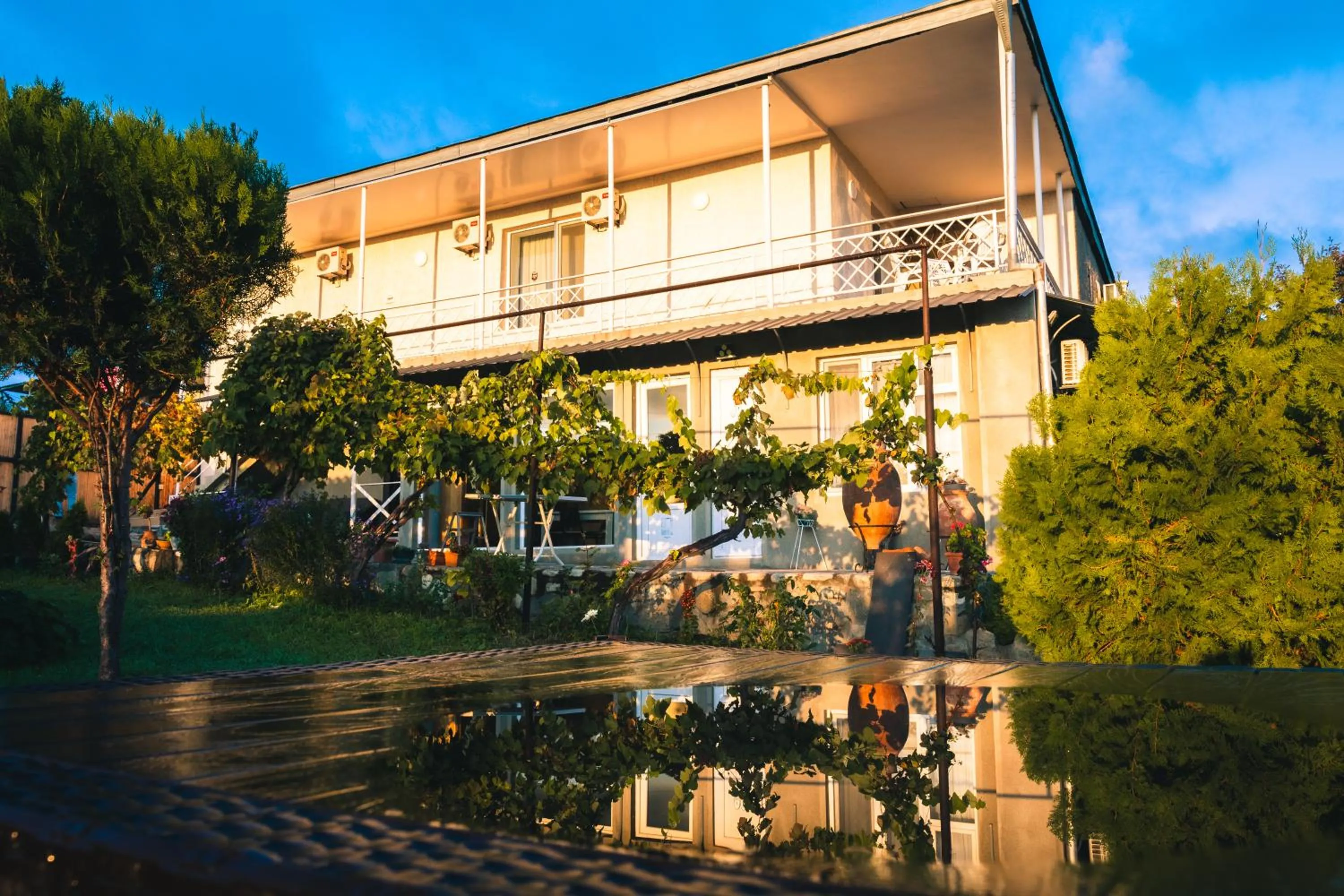 Garden in Hotel Classic