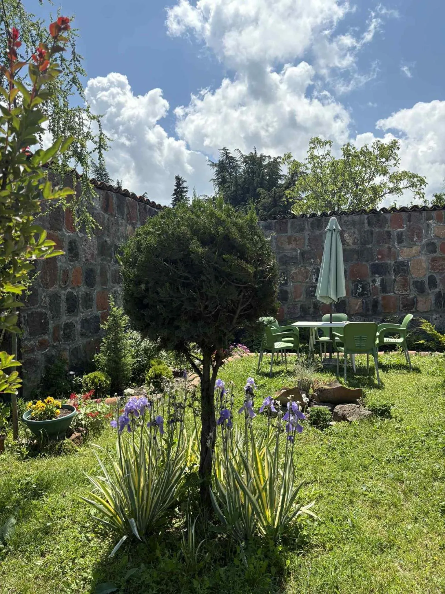 Garden view in Hotel Classic