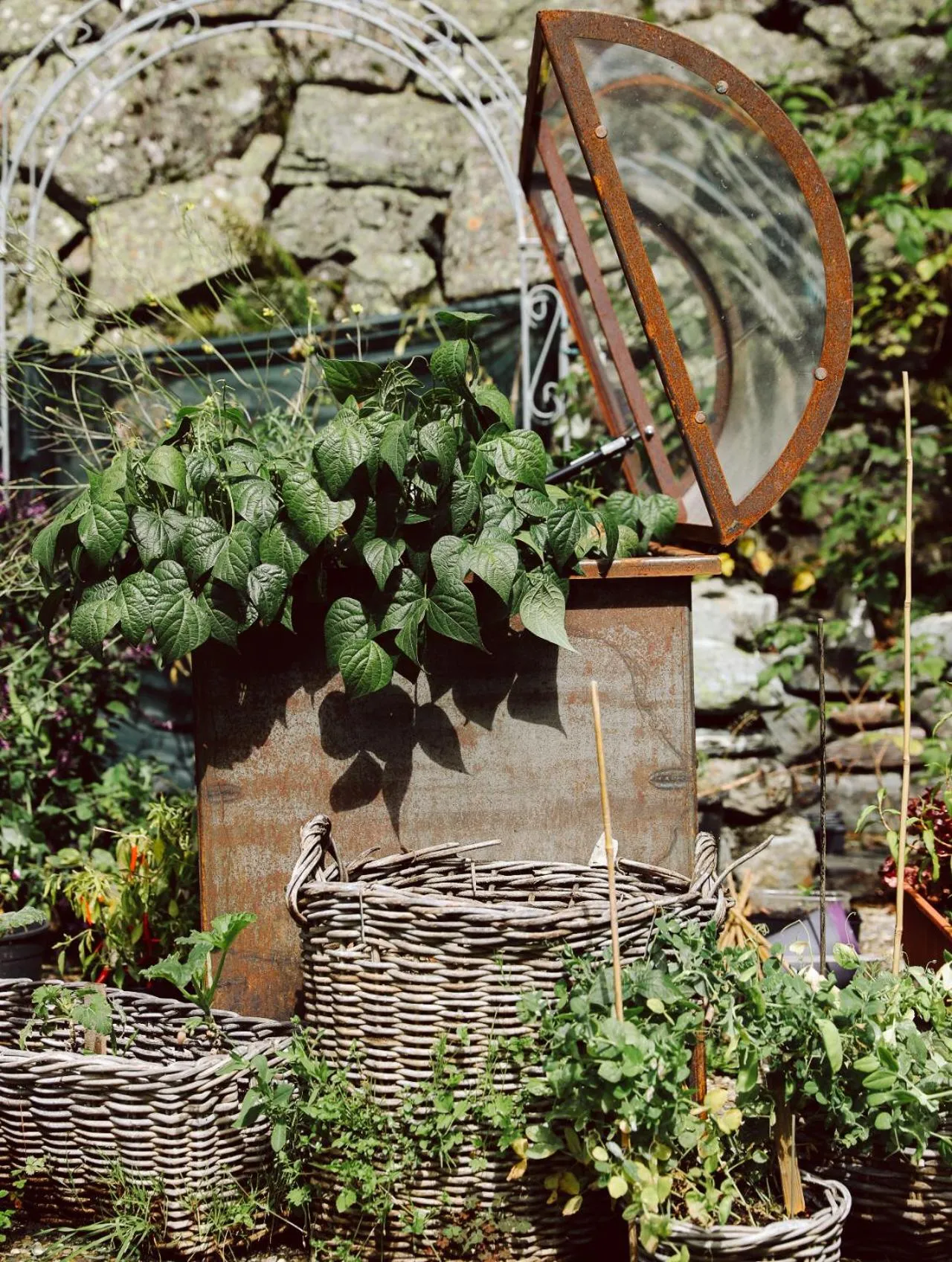 Garden in Heimspitze - Alpenhotel SKI-IN & Wirtshaus