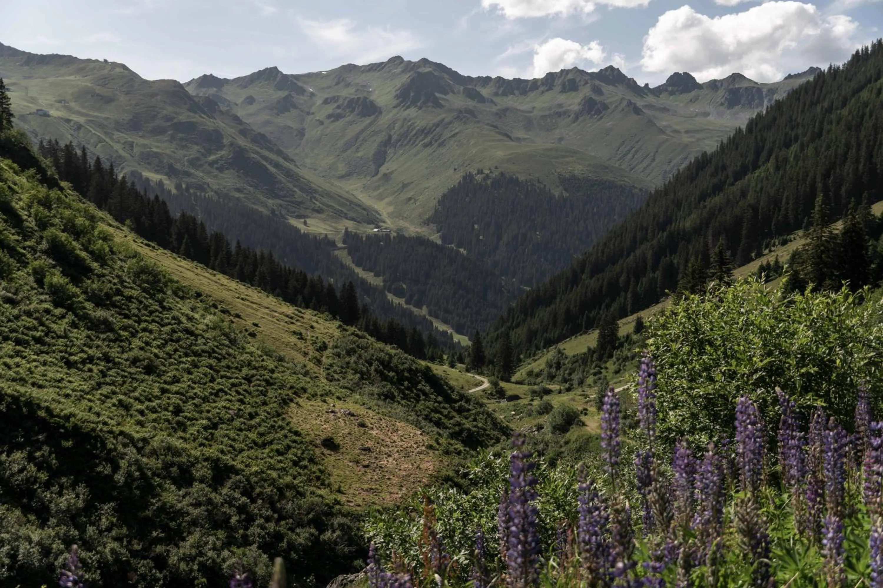 Summer in Heimspitze - Alpenhotel SKI-IN & Wirtshaus