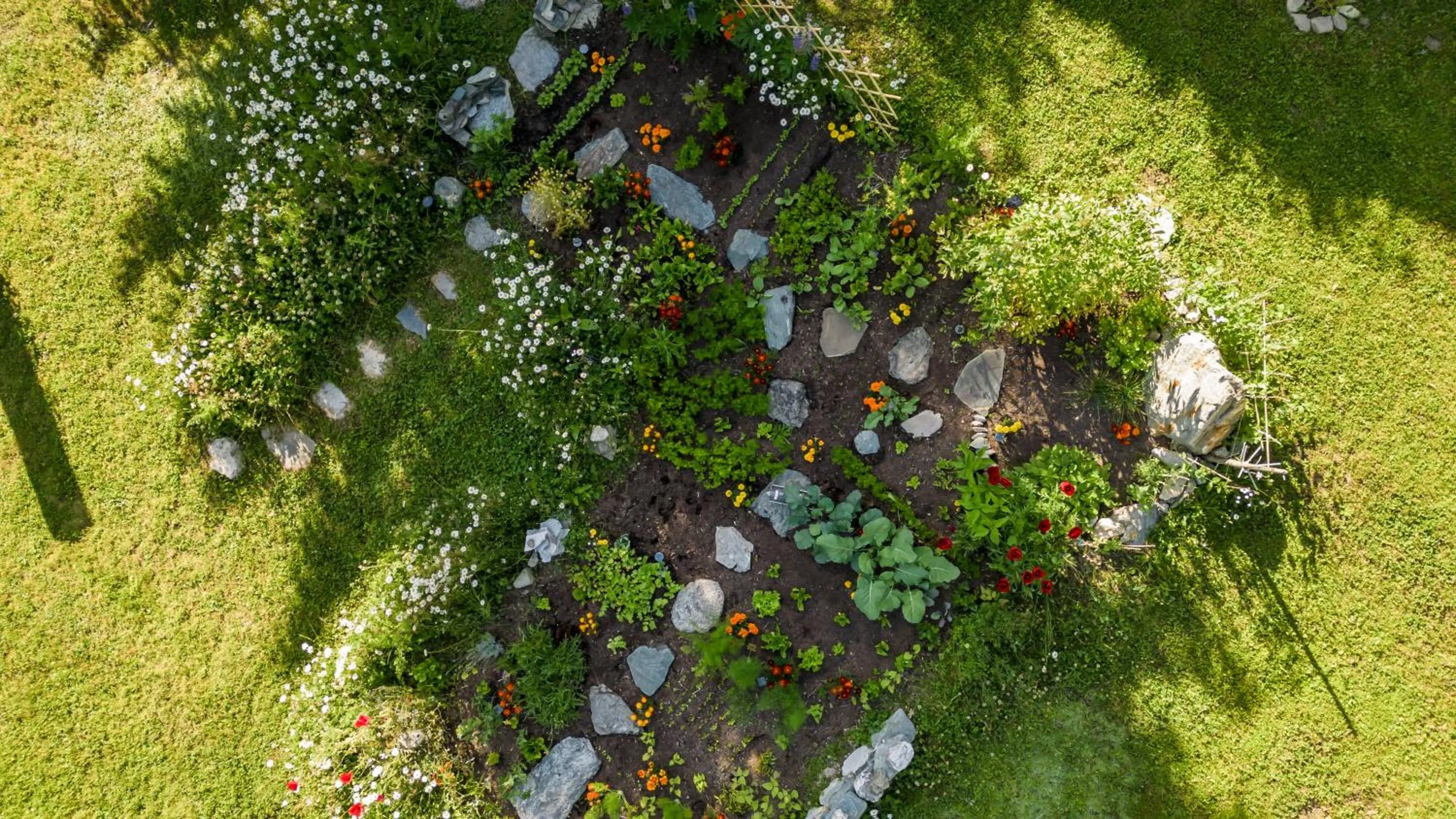 Garden in Heimspitze - Alpenhotel SKI-IN & Wirtshaus