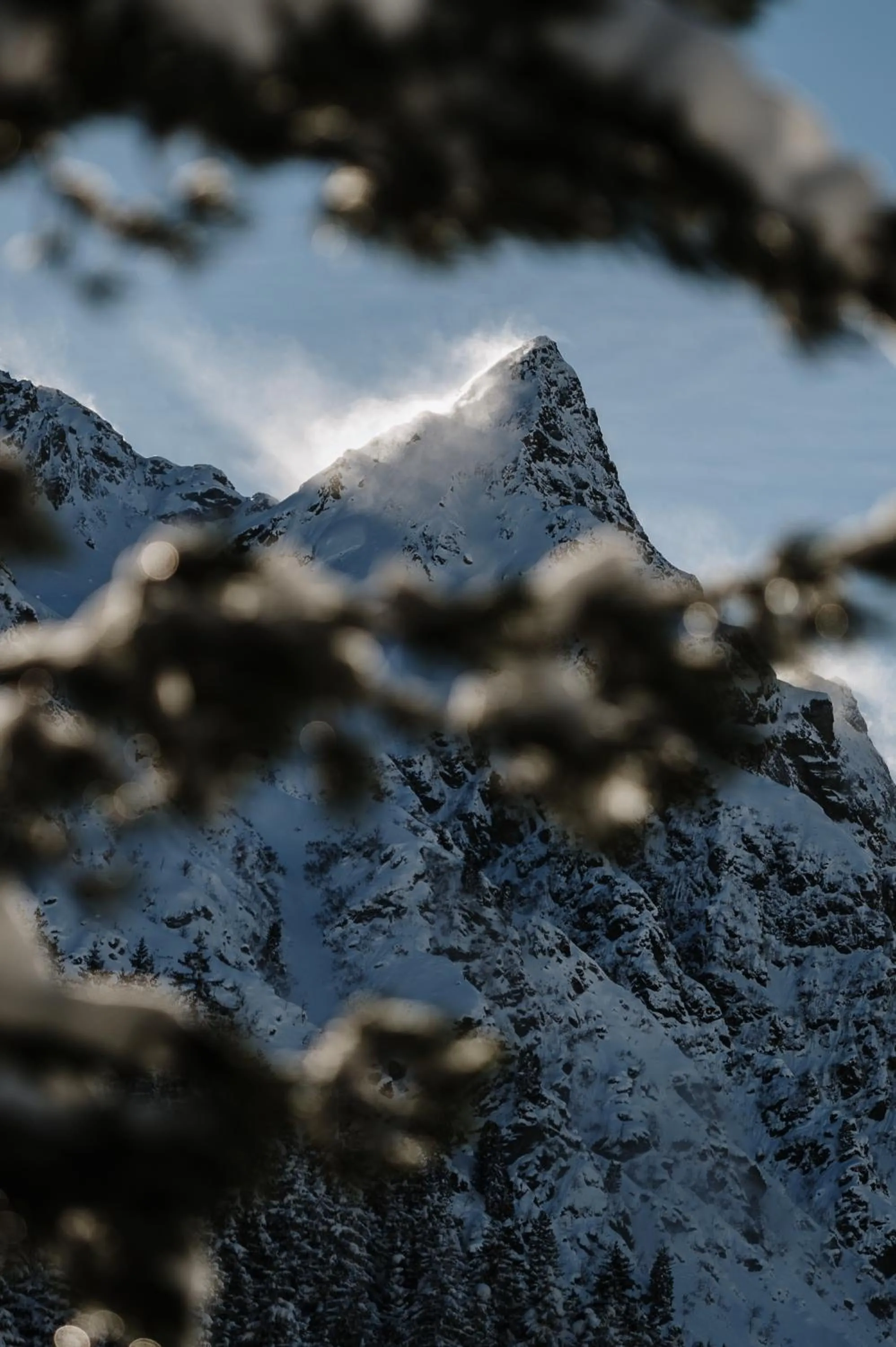 View (from property/room) in Heimspitze - Alpenhotel SKI-IN & Wirtshaus