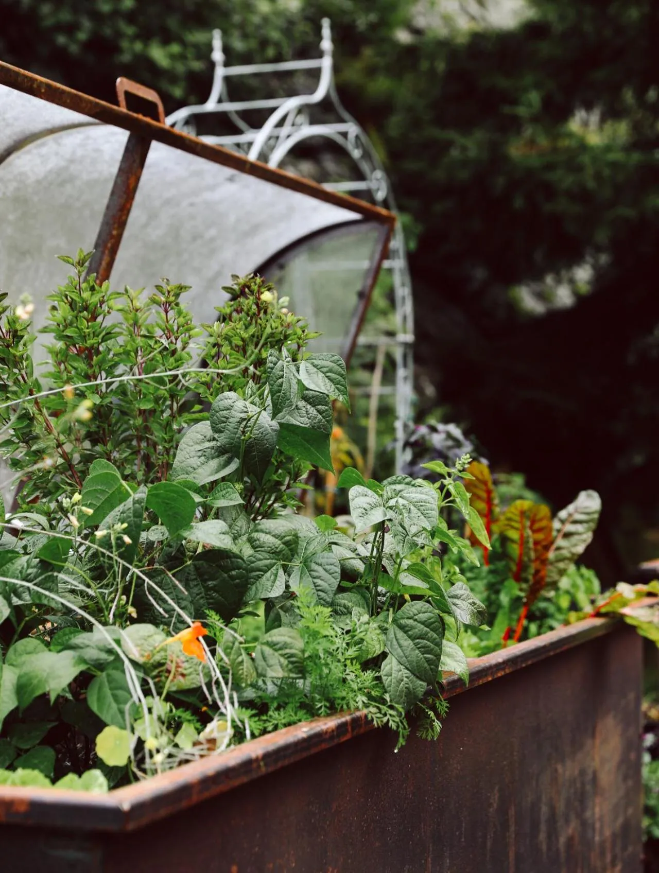 Restaurant/places to eat in Heimspitze - Alpenhotel SKI-IN & Wirtshaus