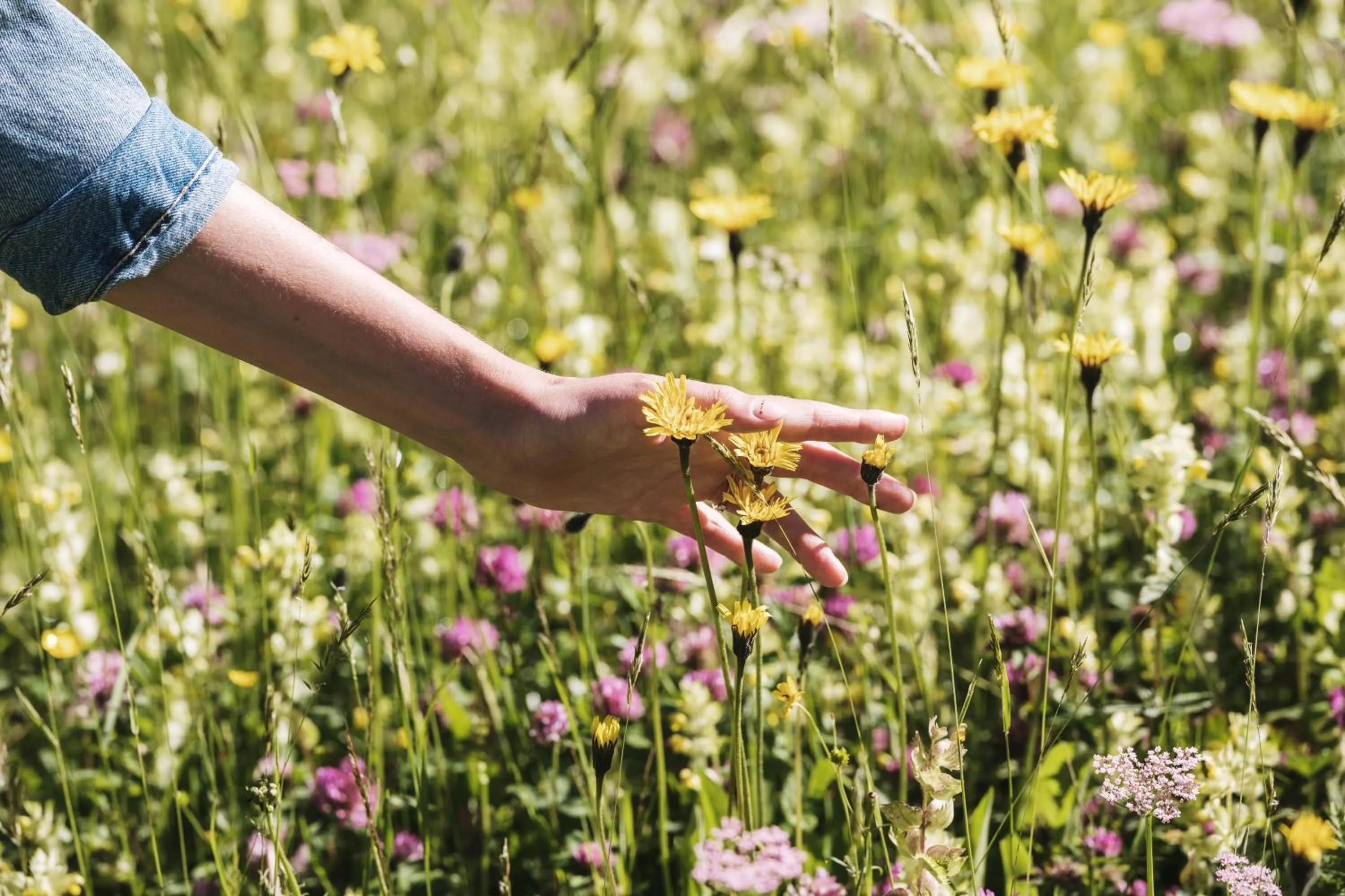Spring in Heimspitze - Alpenhotel SKI-IN & Wirtshaus