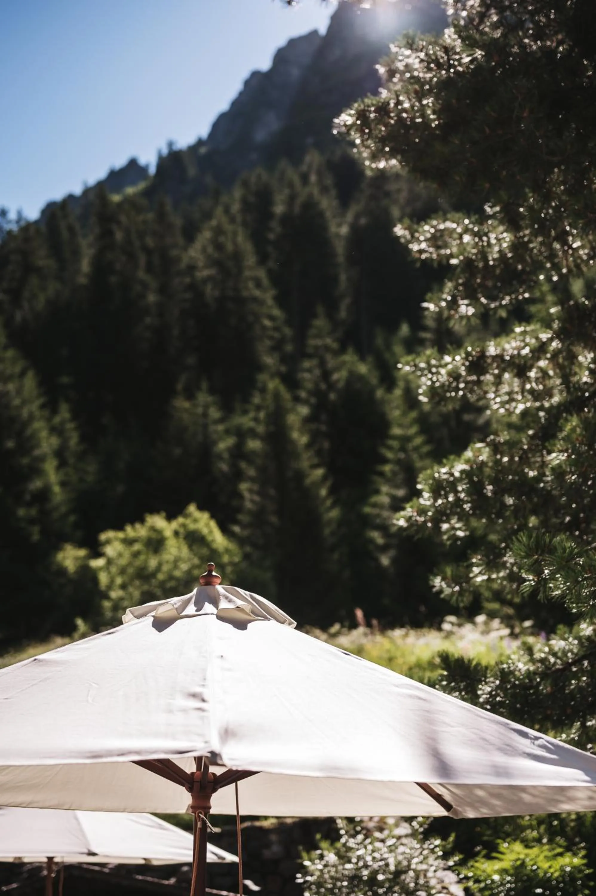 Garden in Heimspitze - Alpenhotel SKI-IN & Wirtshaus