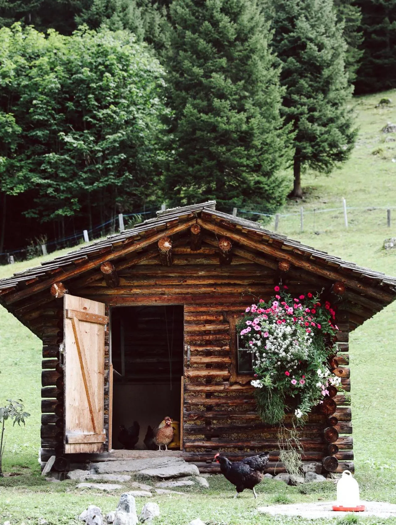 Garden in Heimspitze - Alpenhotel SKI-IN & Wirtshaus