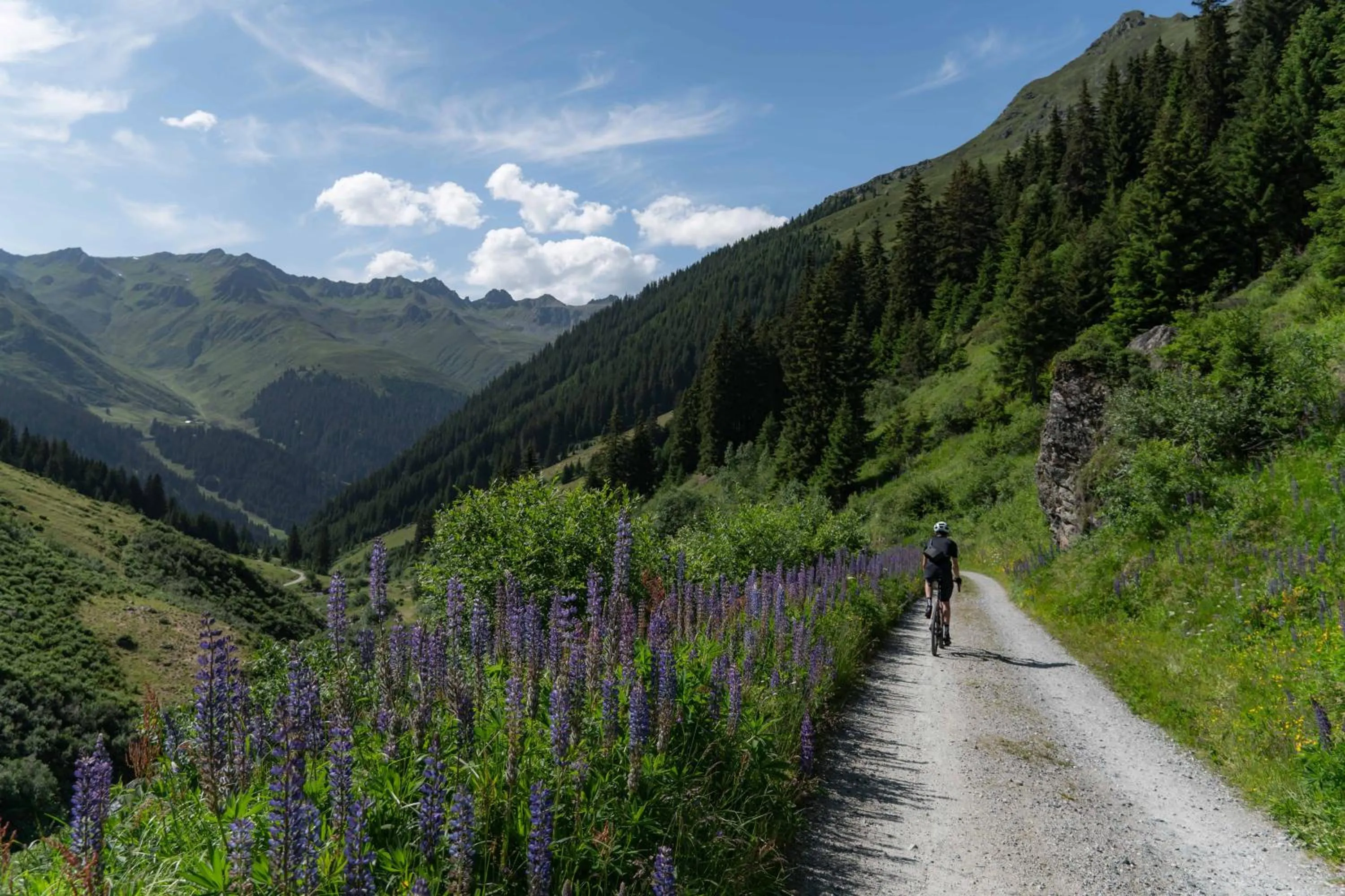 Activities in Heimspitze - Alpenhotel SKI-IN & Wirtshaus